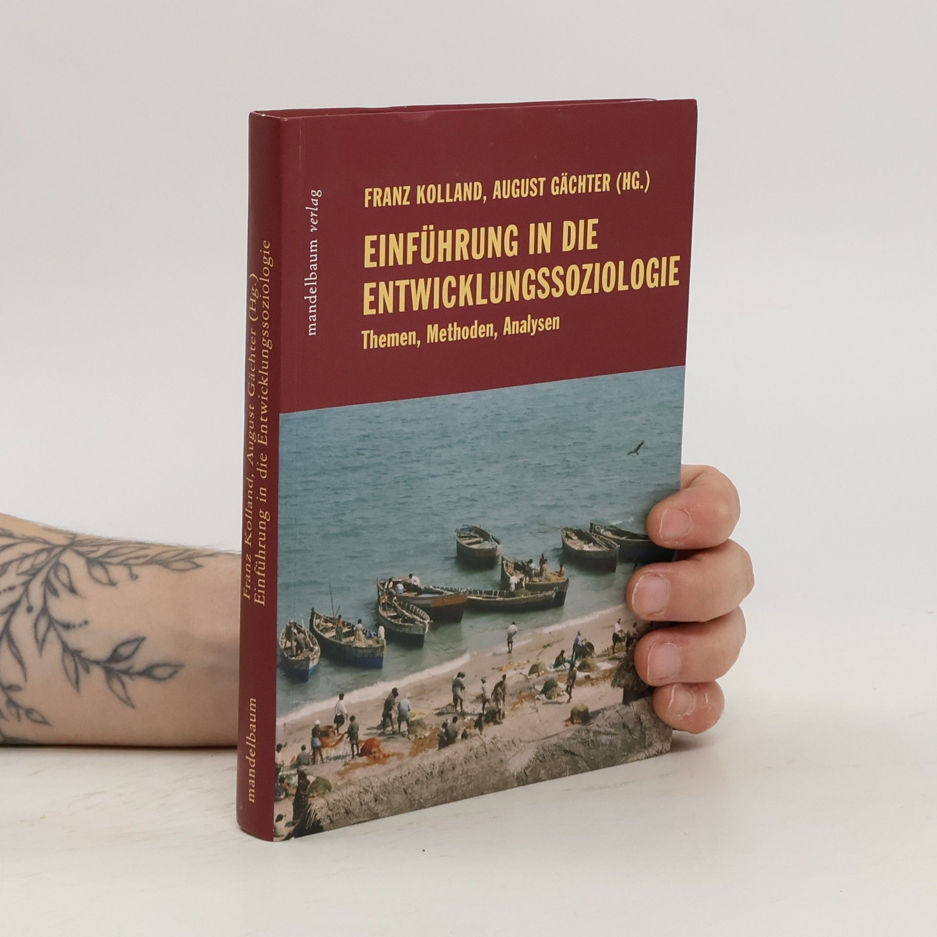 Franz Kolland Einführung in die Entwicklungssoziologie
