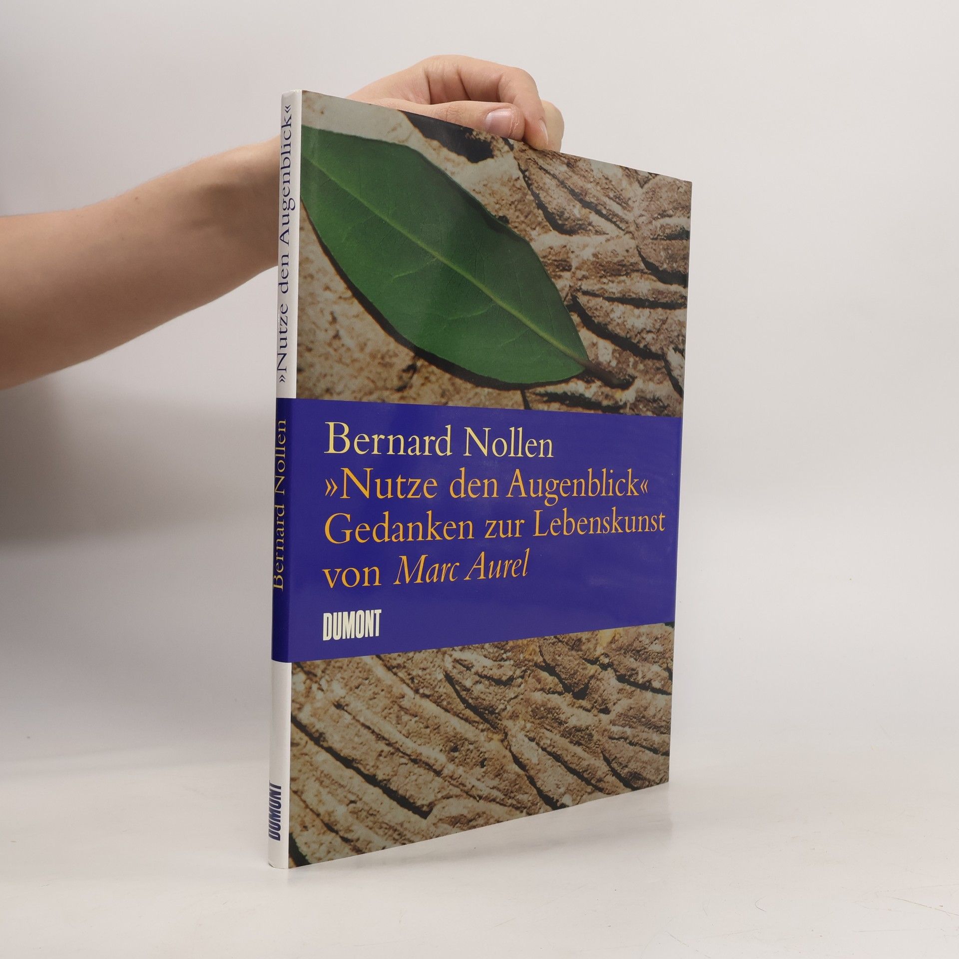 Bernard Nollen "Nutze den Augenblick"