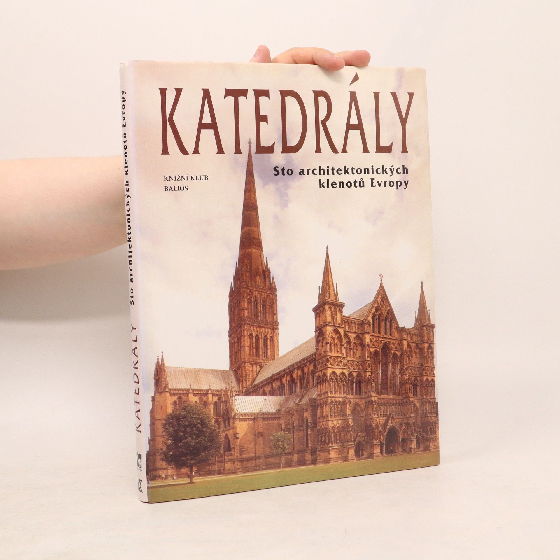 Collective Katedrály : sto architektonických klenotů Evropy