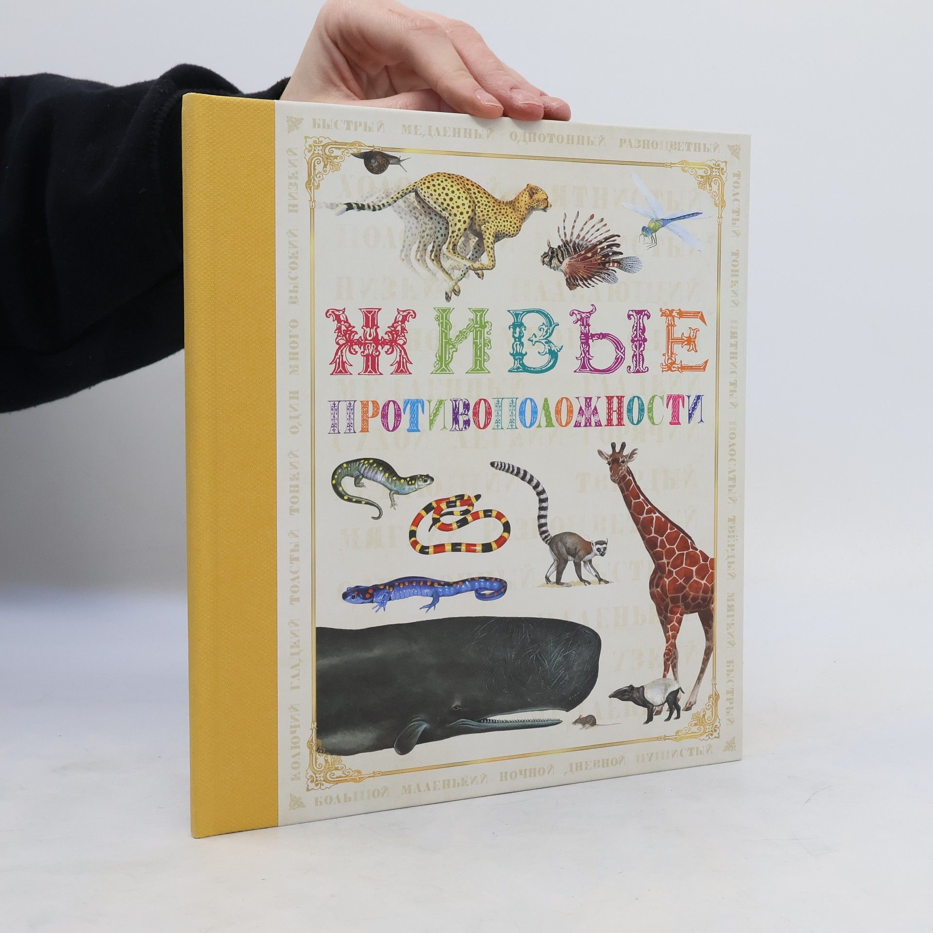 Autorenkollektiv Живые противоположности