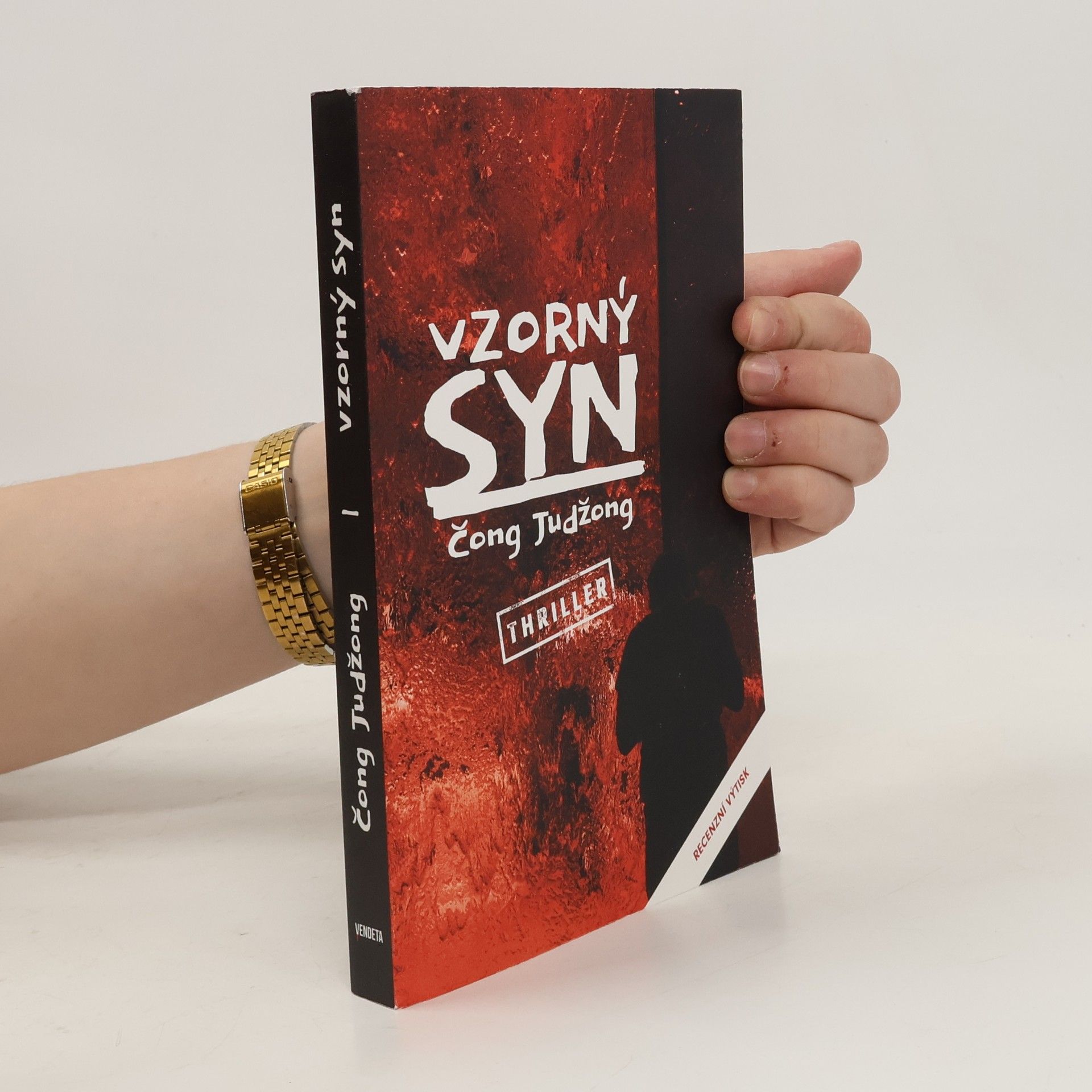Judžong Čong Vzorný syn (recenzní výtisk)