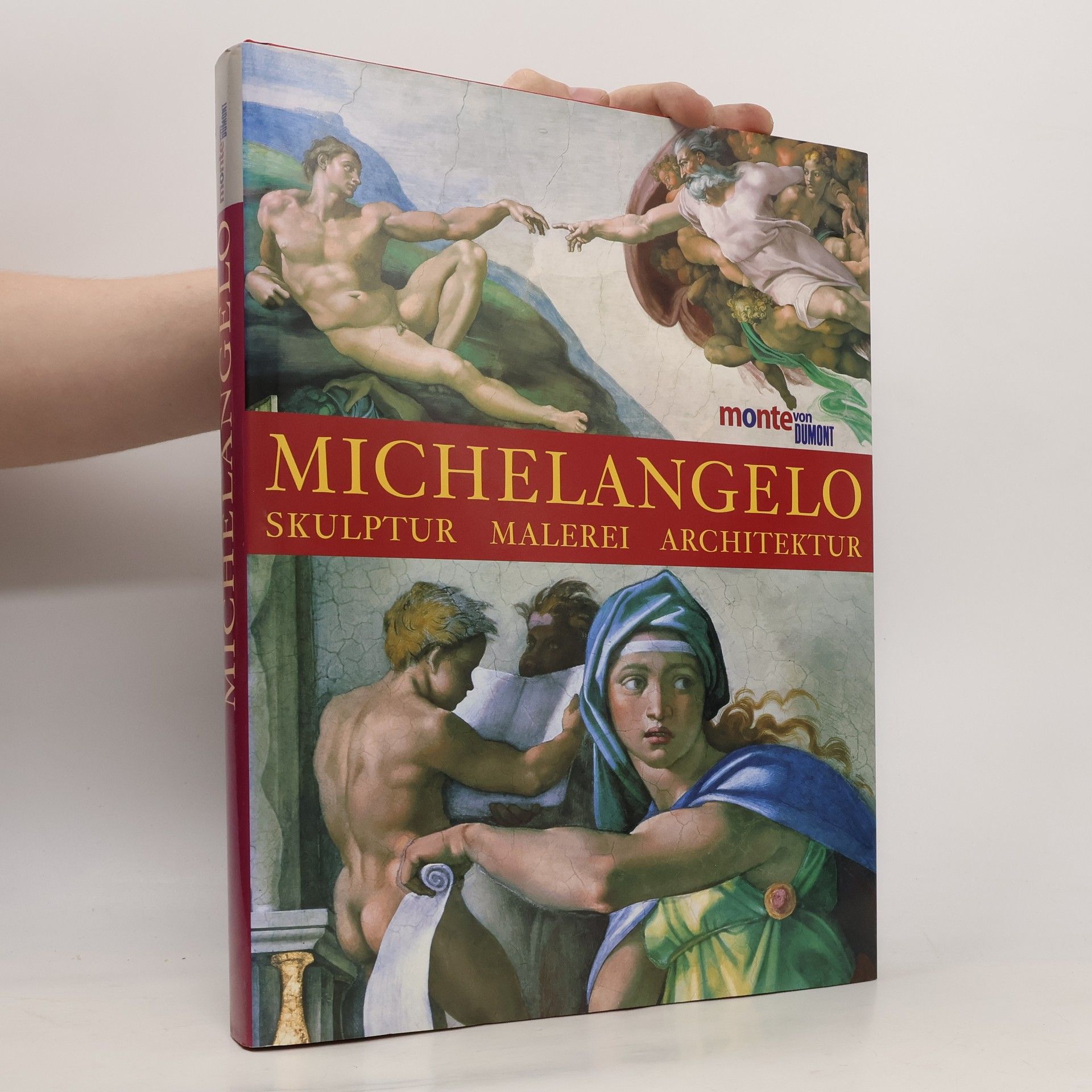 William E. Wallace Michelangelo