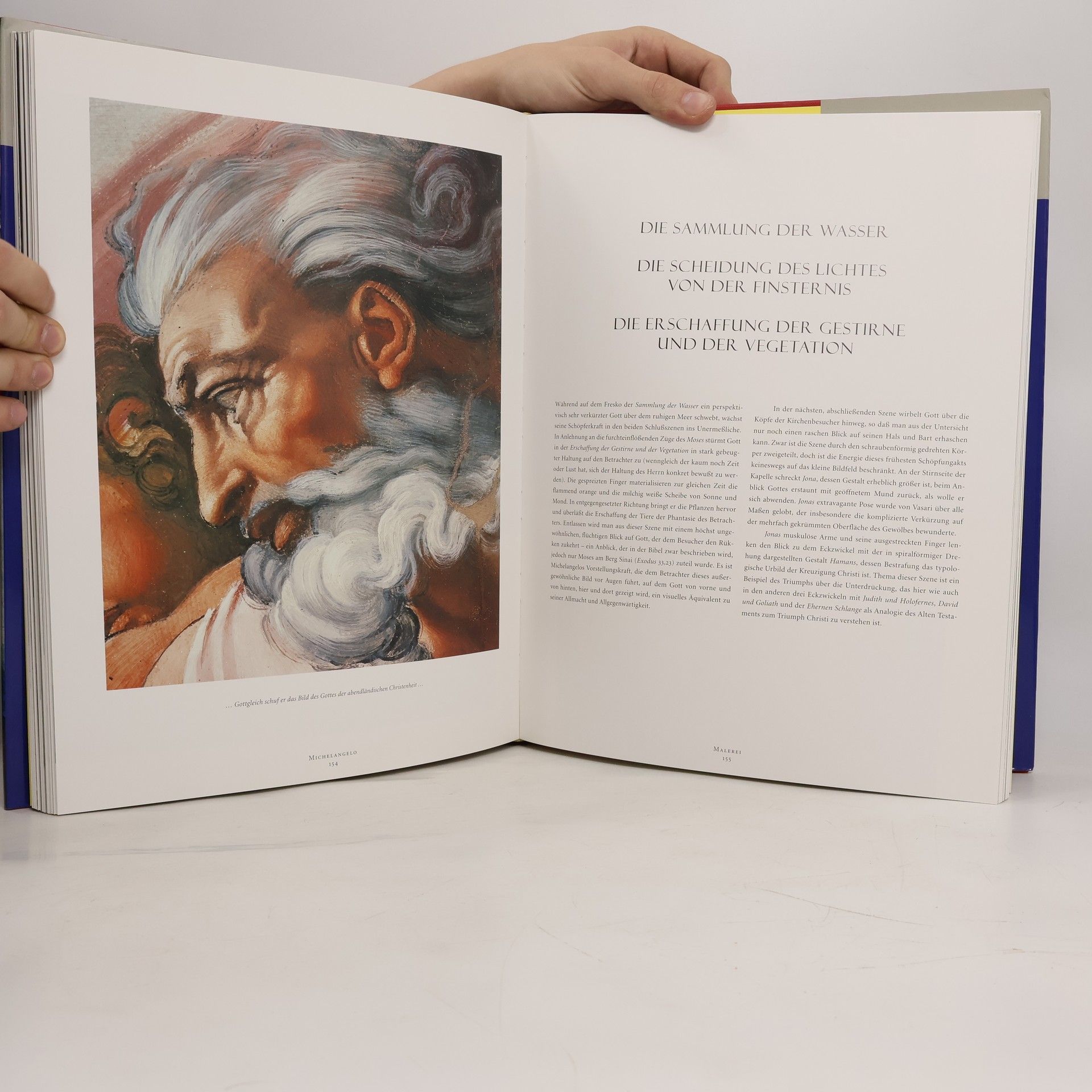 William E. Wallace Michelangelo