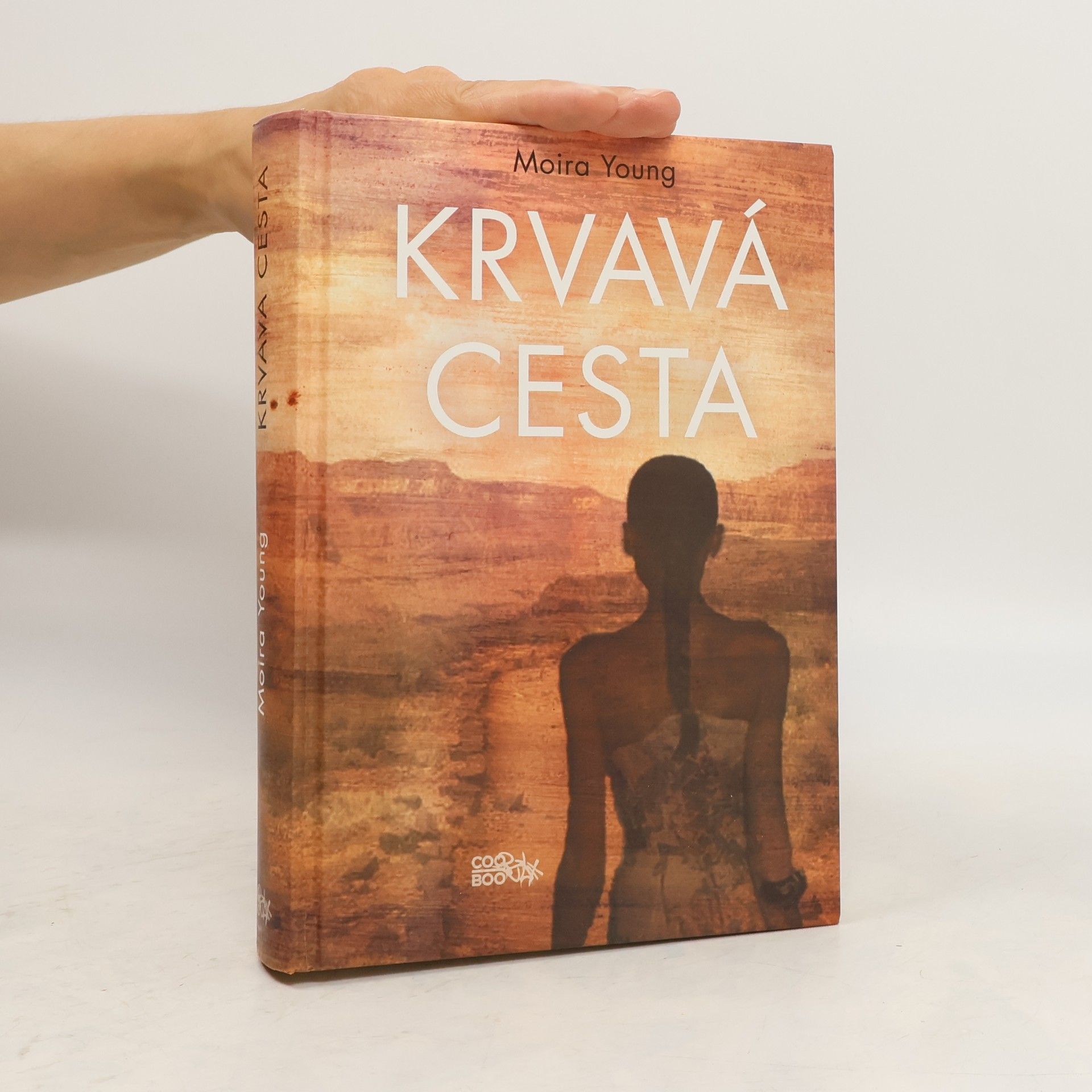 Moira Young Krvavá cesta