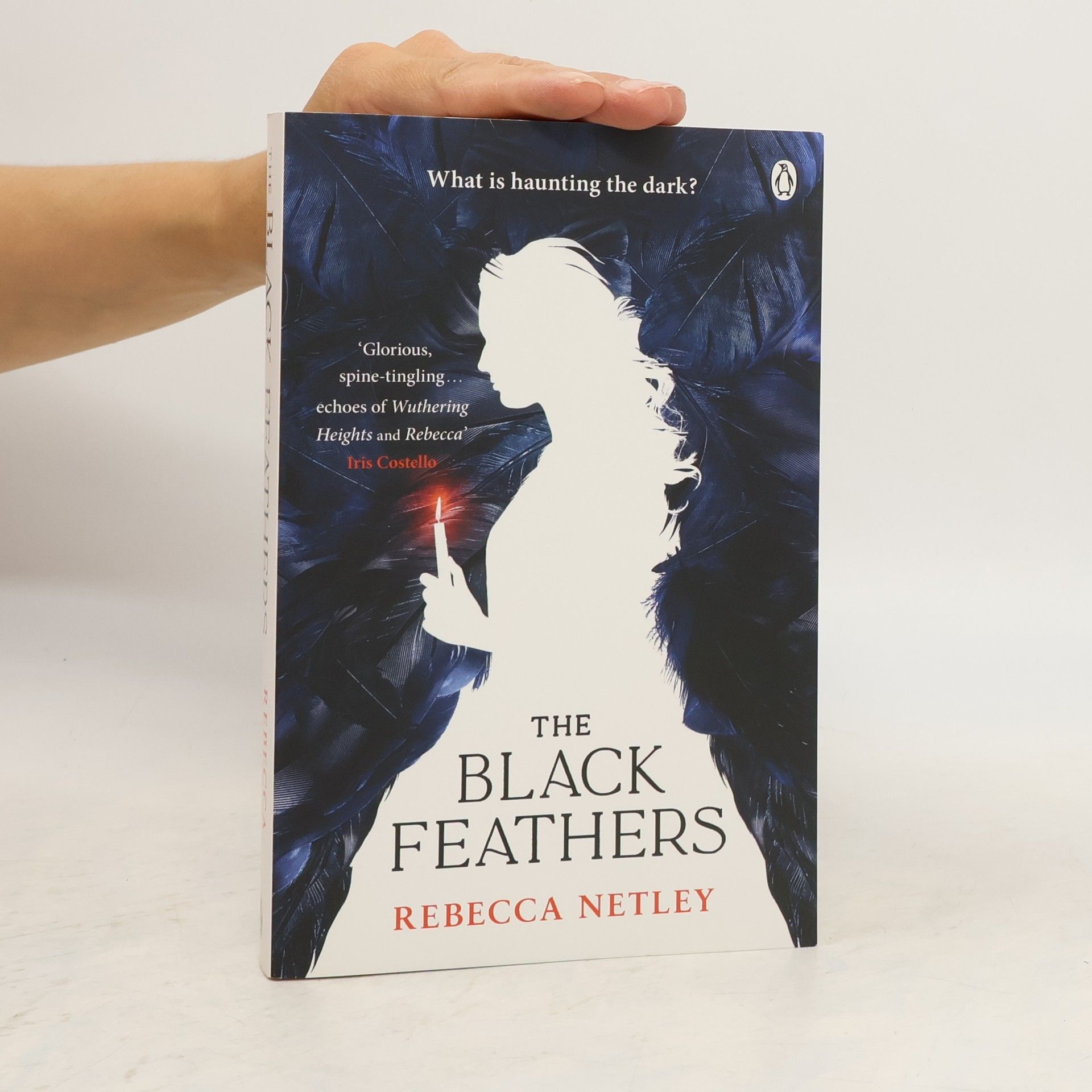 Rebecca Netley The Black Feathers