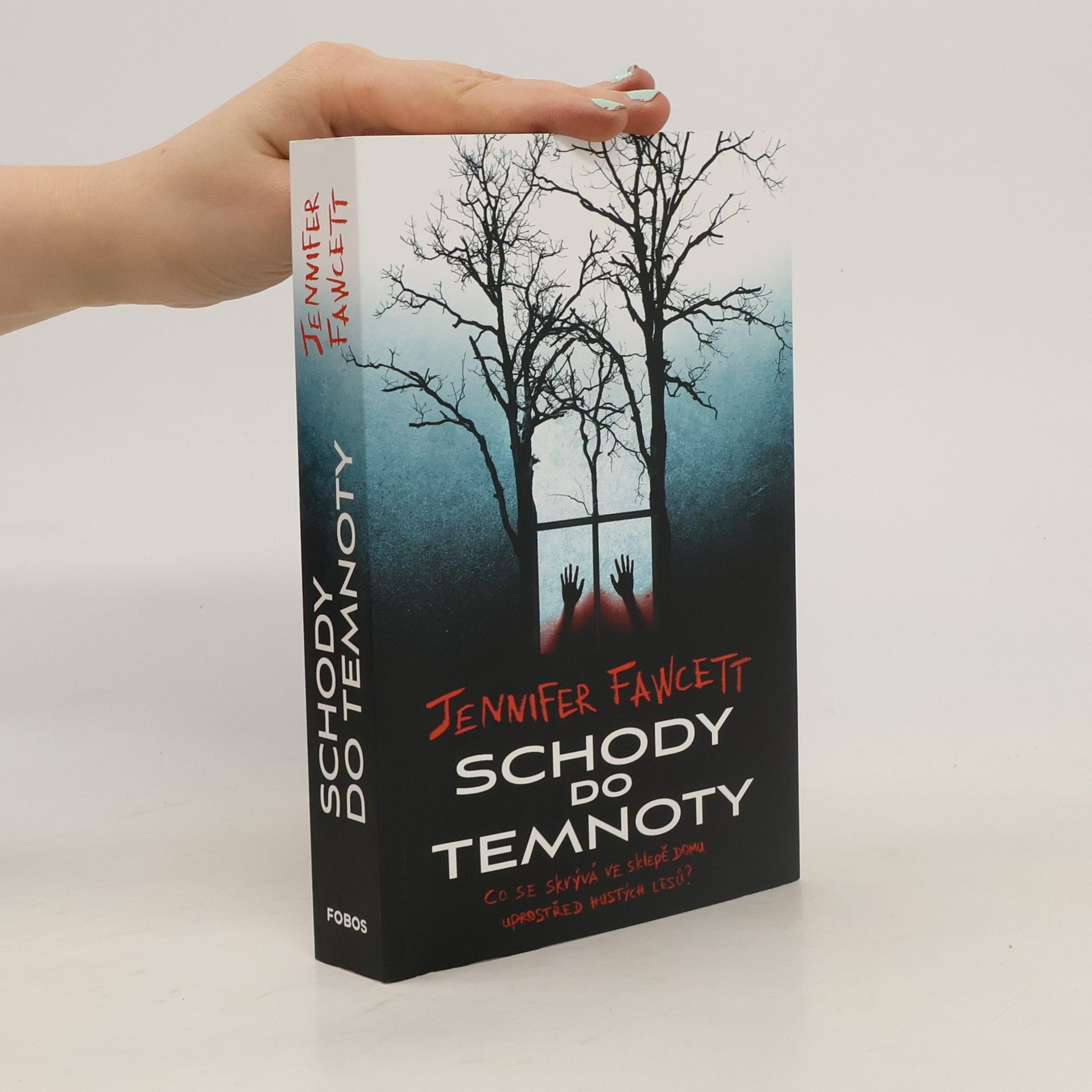 Jennifer Fawcett Schody do temnoty