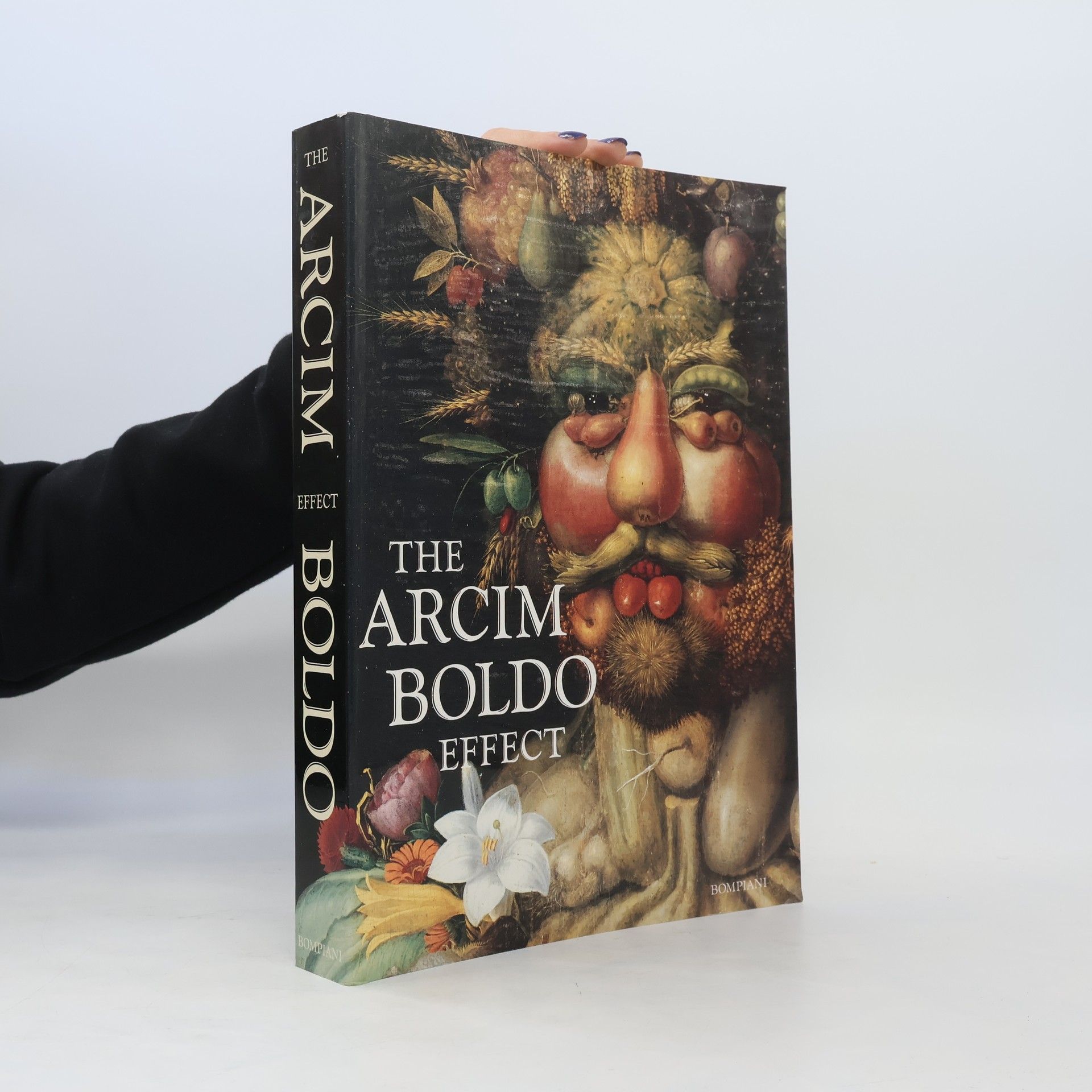 Collectif d'auteurs The Arcim Boldo Effect