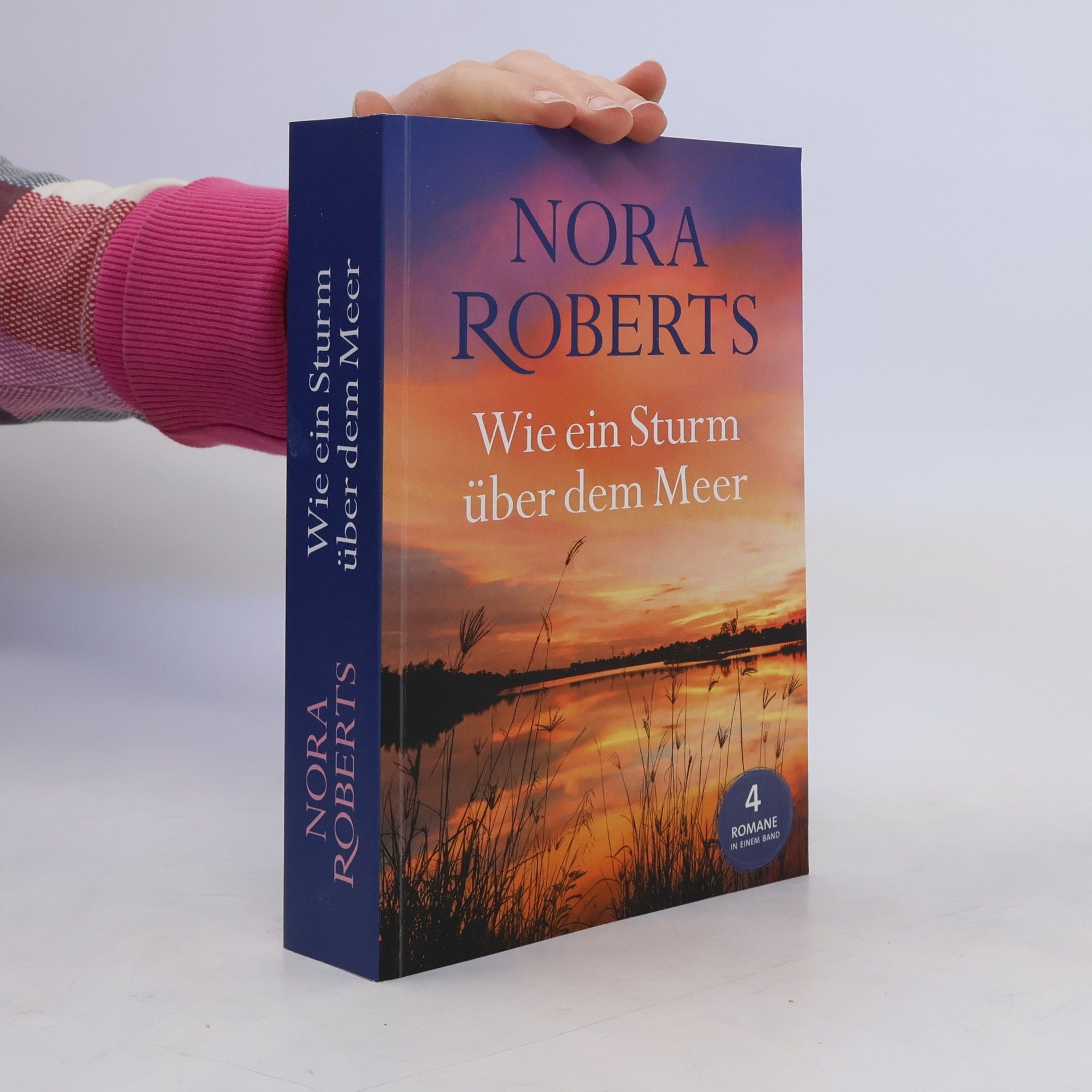 Nora Roberts Wie ein Sturm über dem Meer