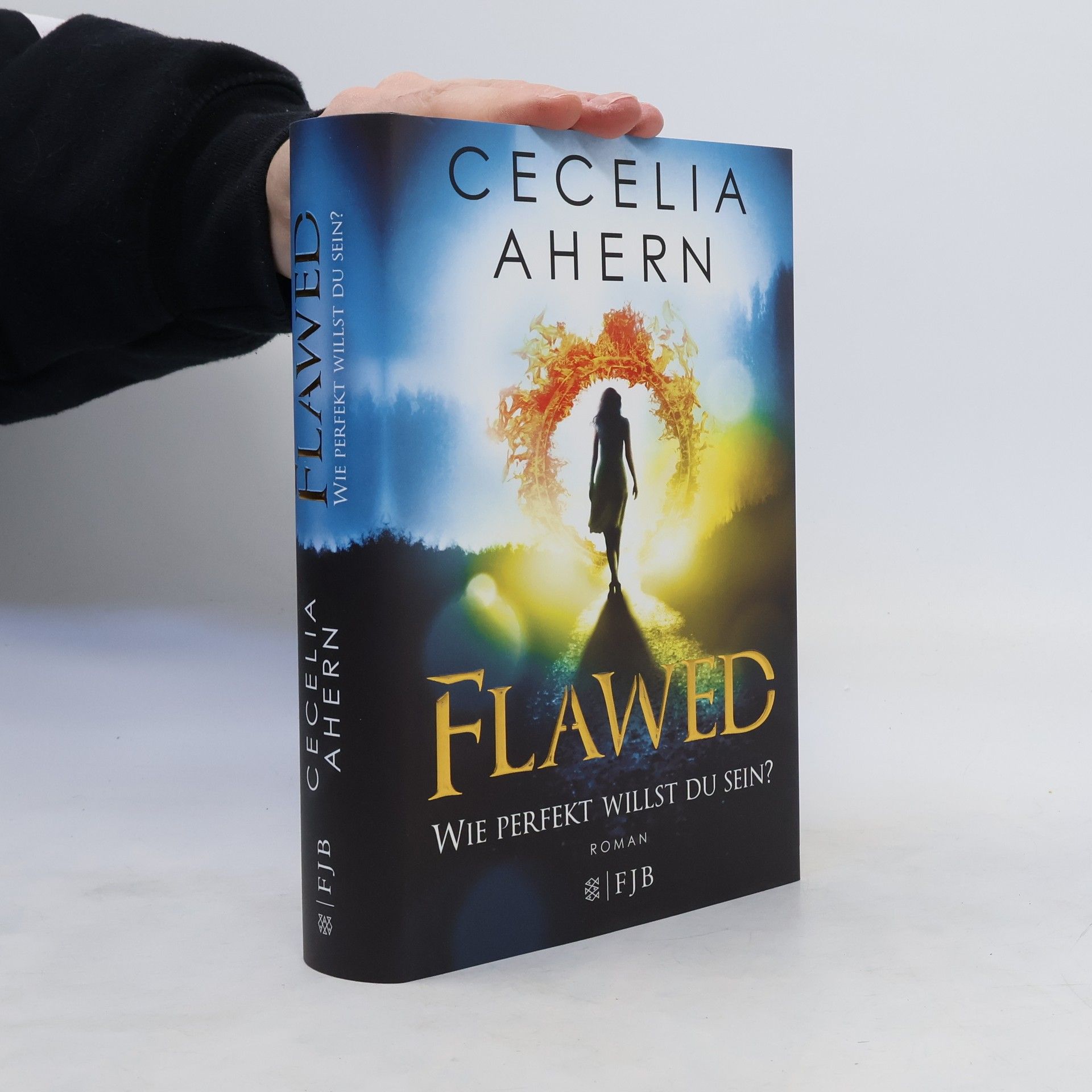 Cecelia Ahern Flawed - wie perfekt willst du sein?