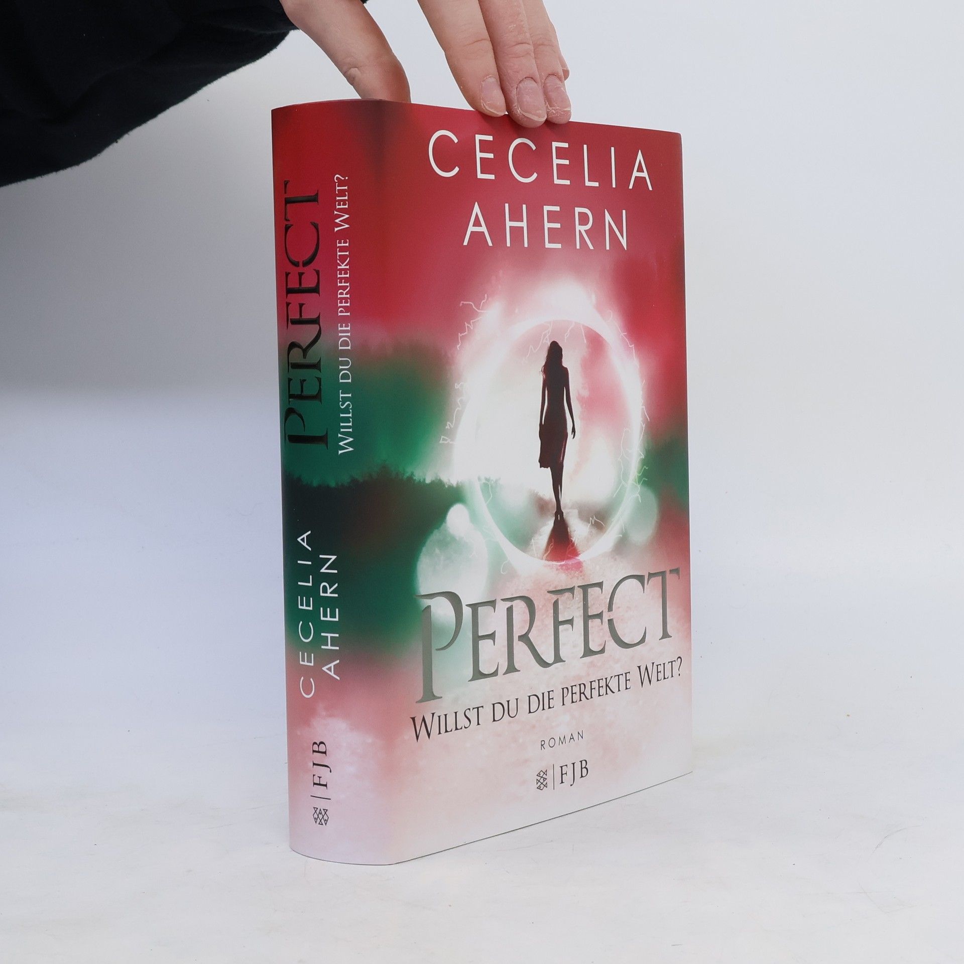 Cecelia Ahern Perfect - willst du die perfekte Welt?