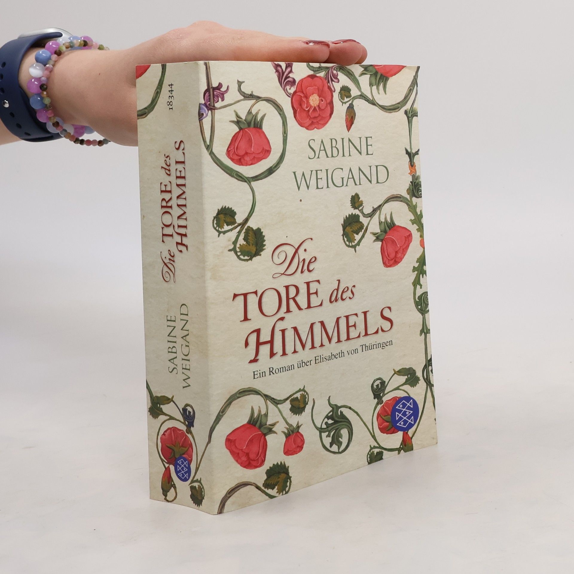Sabine Weigand Die Tore des Himmels