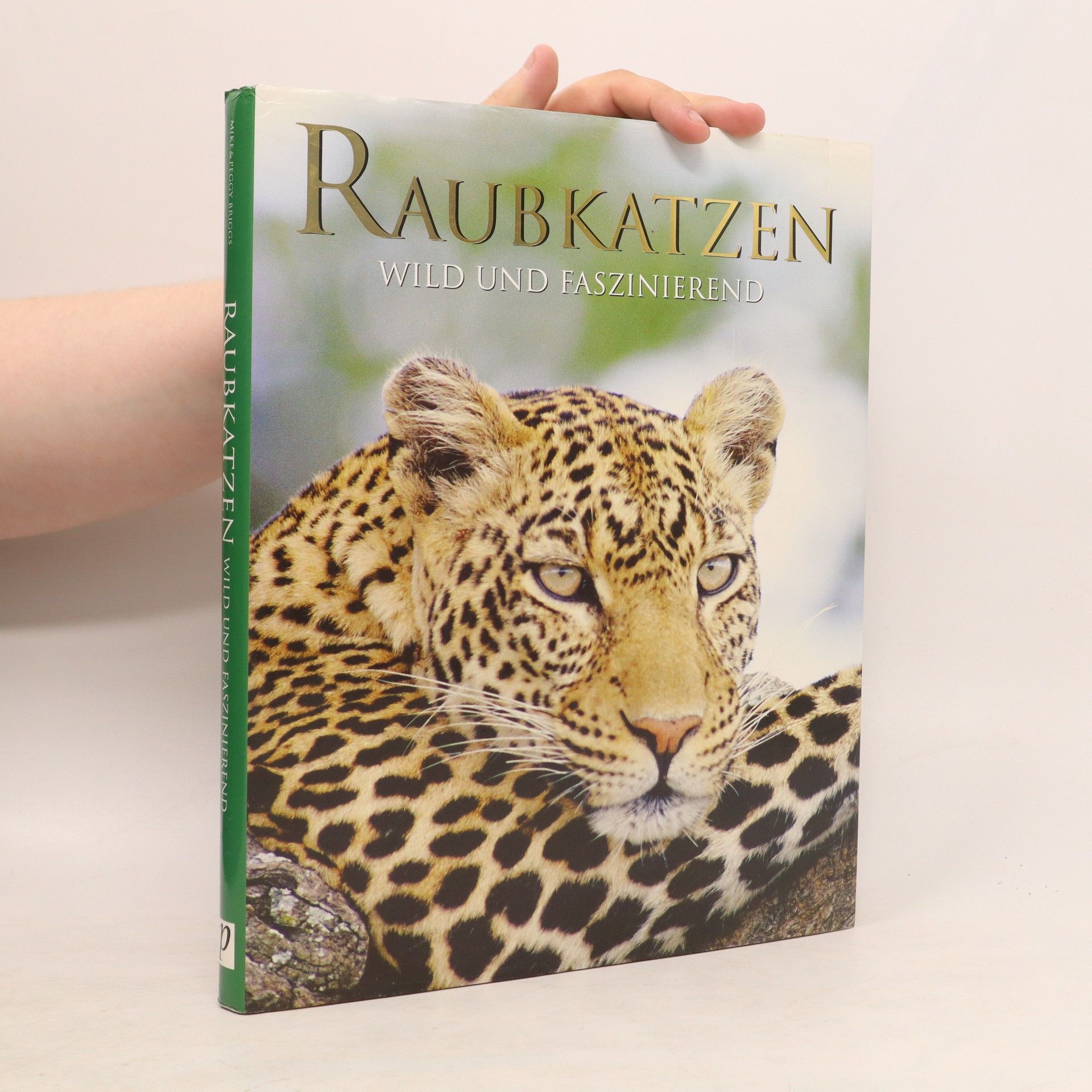 Mike Briggs Raubkatzen wild und faszinierend