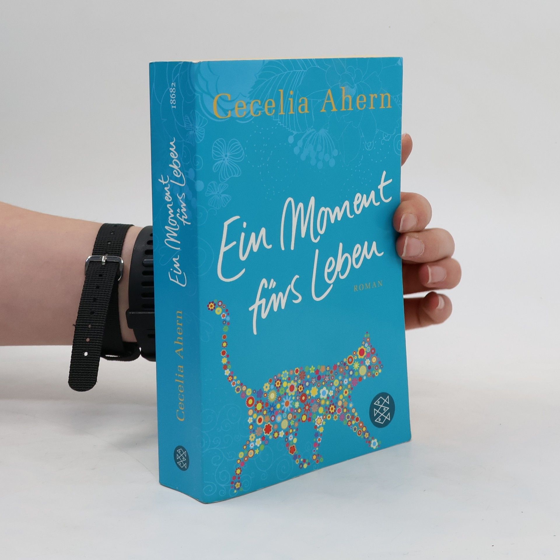 Cecelia Ahern Ein Moment fürs Leben