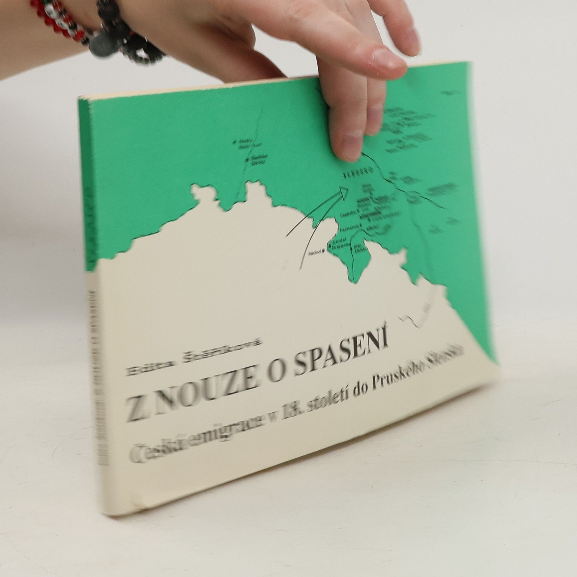 Edita Štěříková Z nouze o spasení