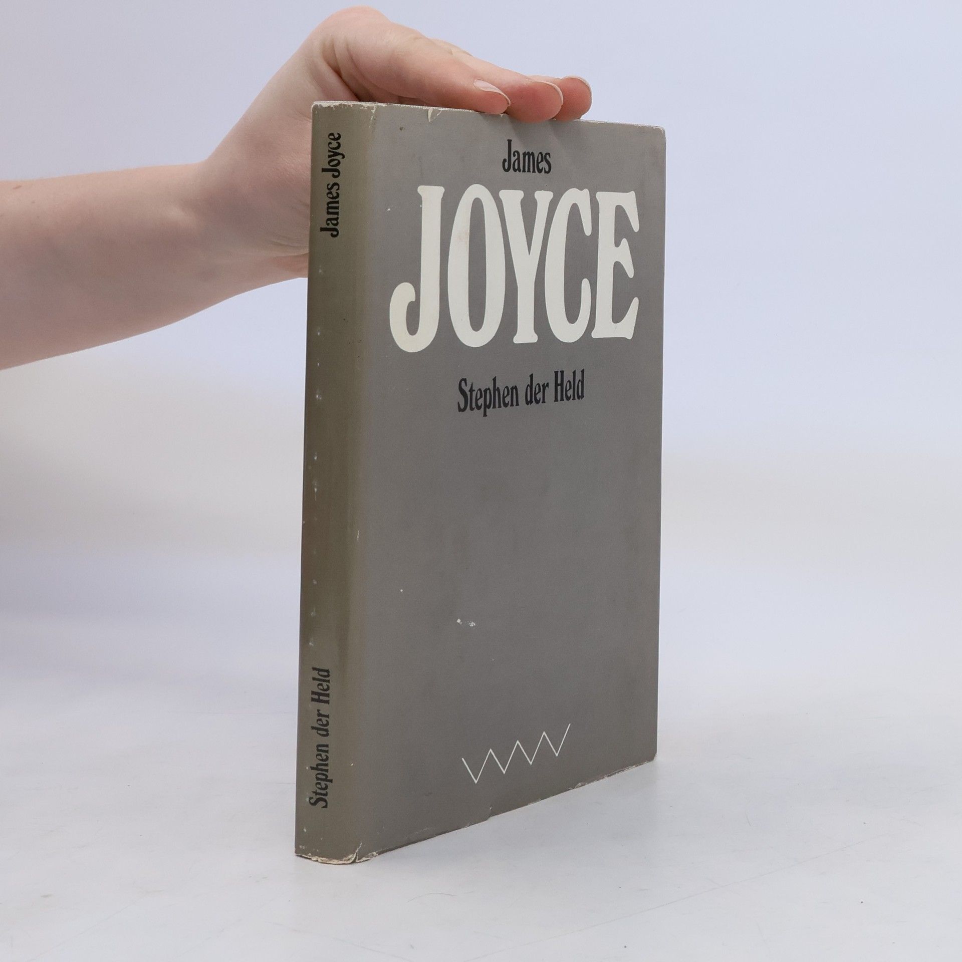 James Joyce Stephen der Held