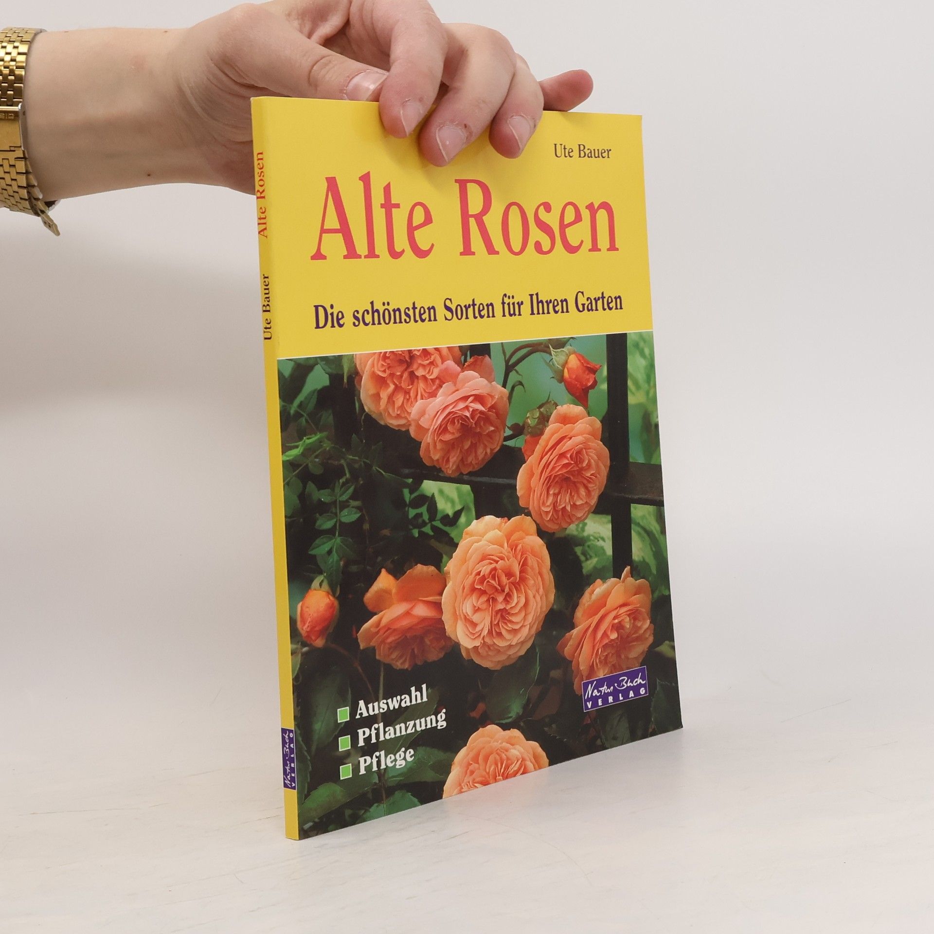 Ute Bauer Alte Rosen