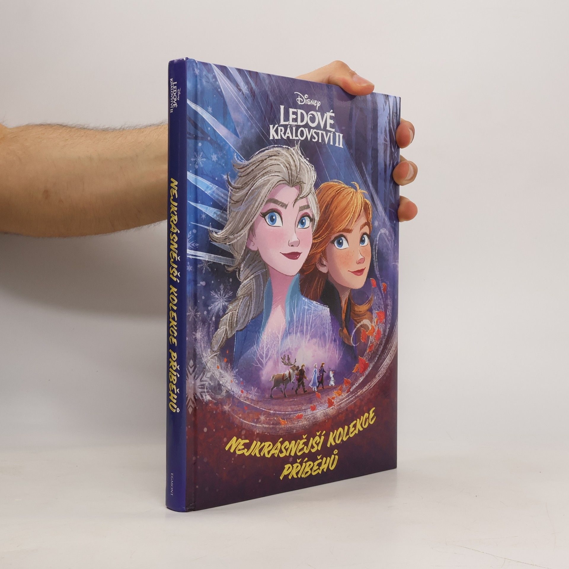 Collectif d'auteurs Ledové království II : nejkrásnější kolekce příběhů