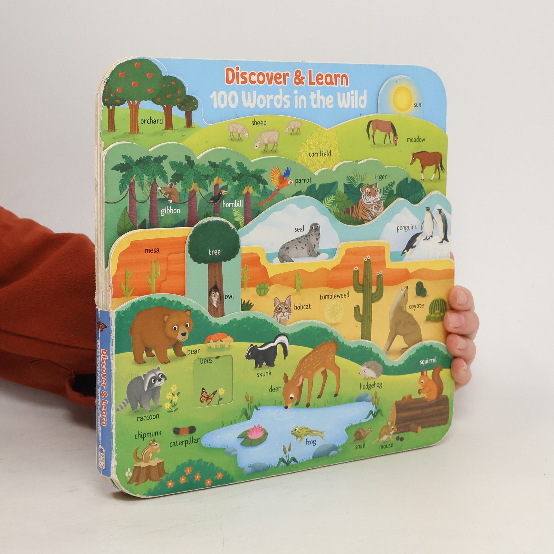 Collectif d'auteurs Discover & Learn 100 Words in the Wild