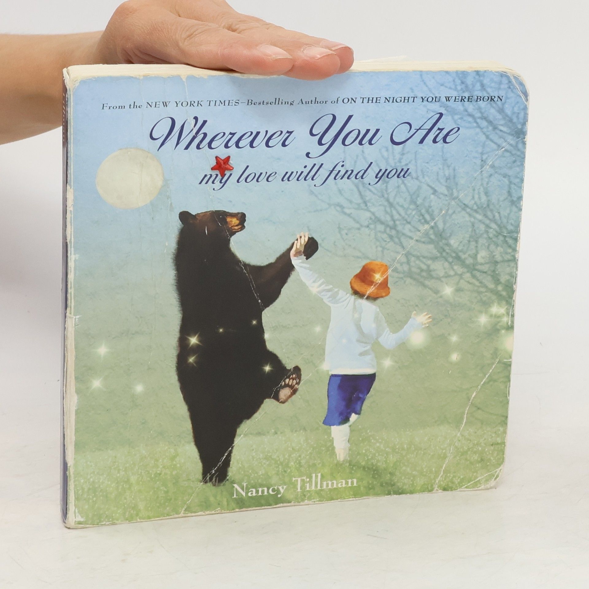 Nancy Tillman Wherever You Are: My Love Will Find You