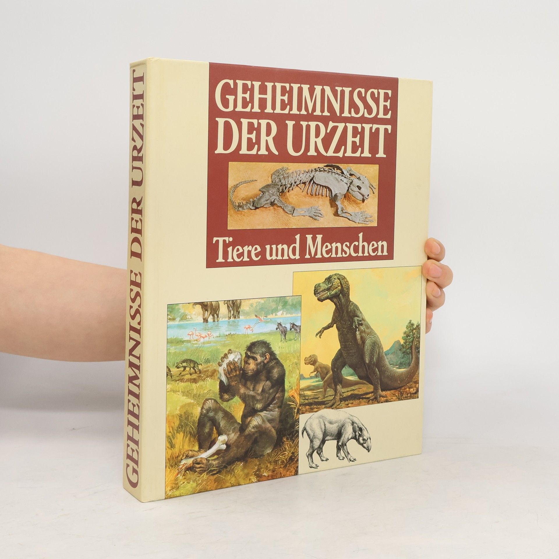 Mario Andreose Die Geheimnisse der Urzeit. Tiere und Menschen