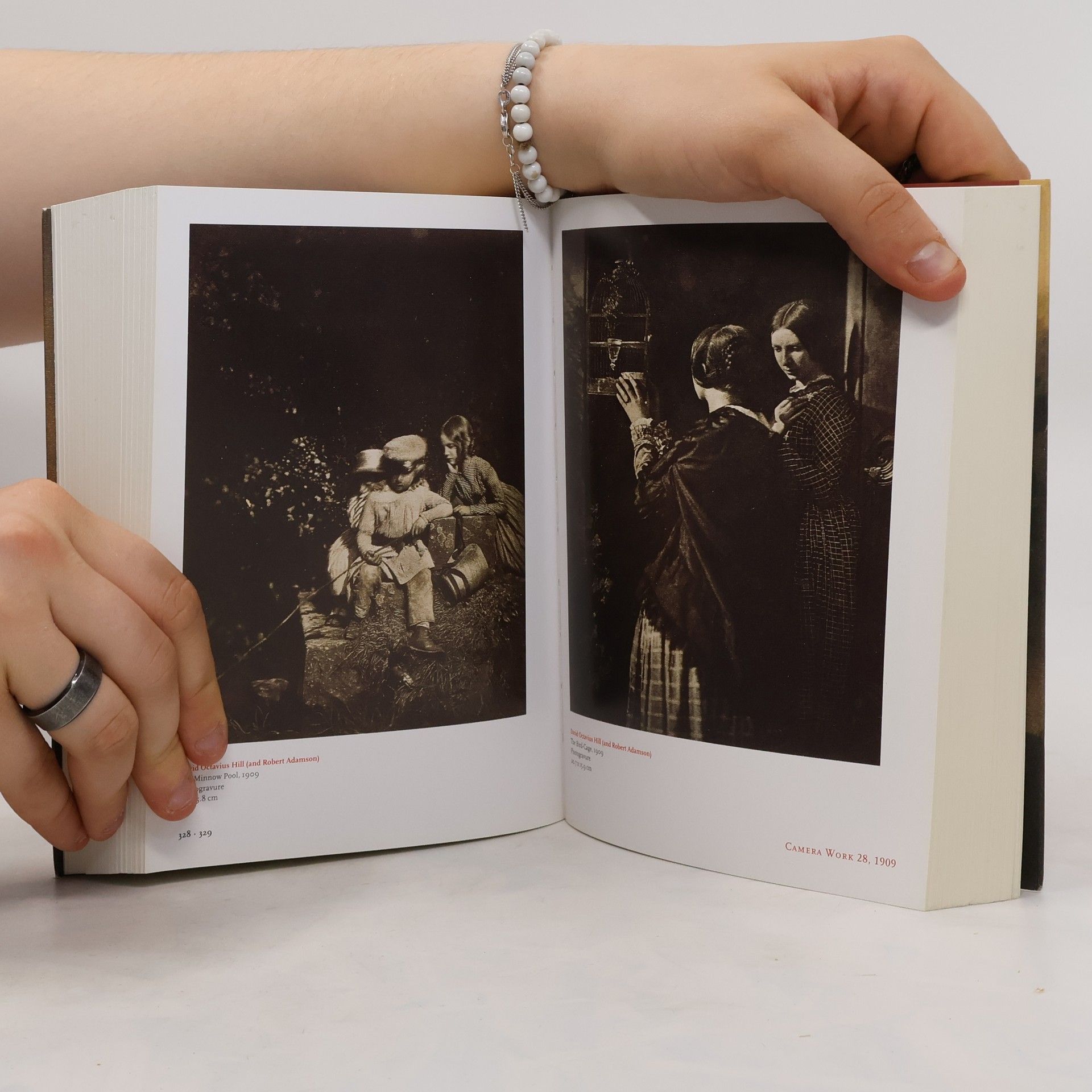 Alfred Stieglitz Camera work: The complete photographs 1903-1917