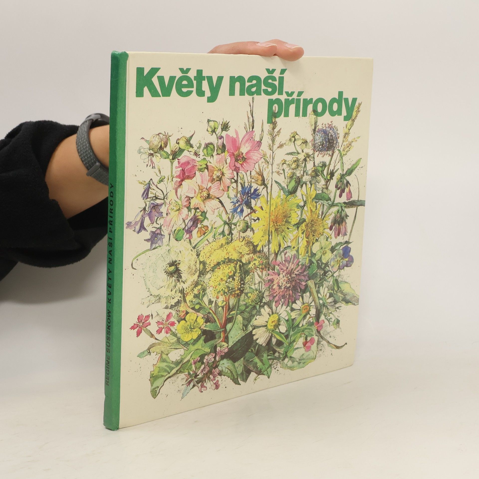 Regine Süsskow Květy naší přírody
