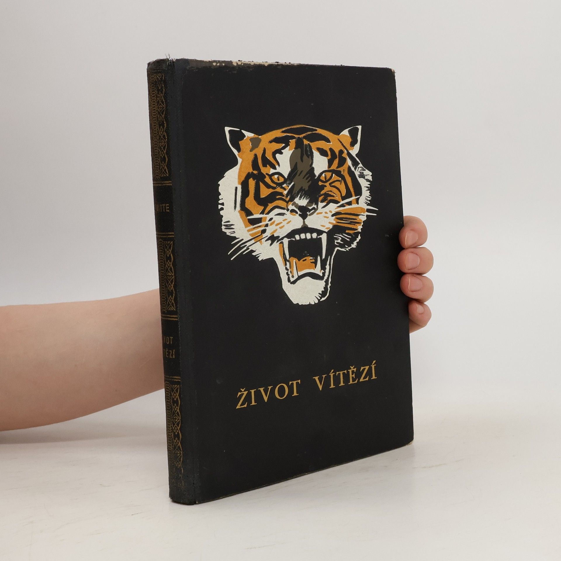 Viktor Witte Život vítězí. Zpovědi hrdinů slavných dobrodružství