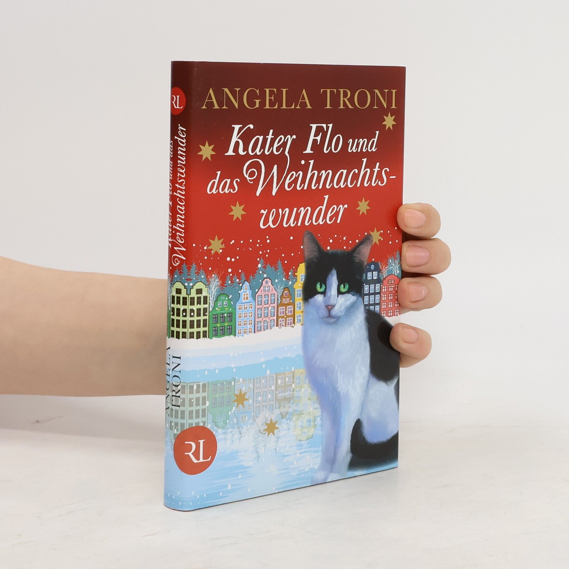 Angela Troni Kater Flo und das Weihnachtswunder