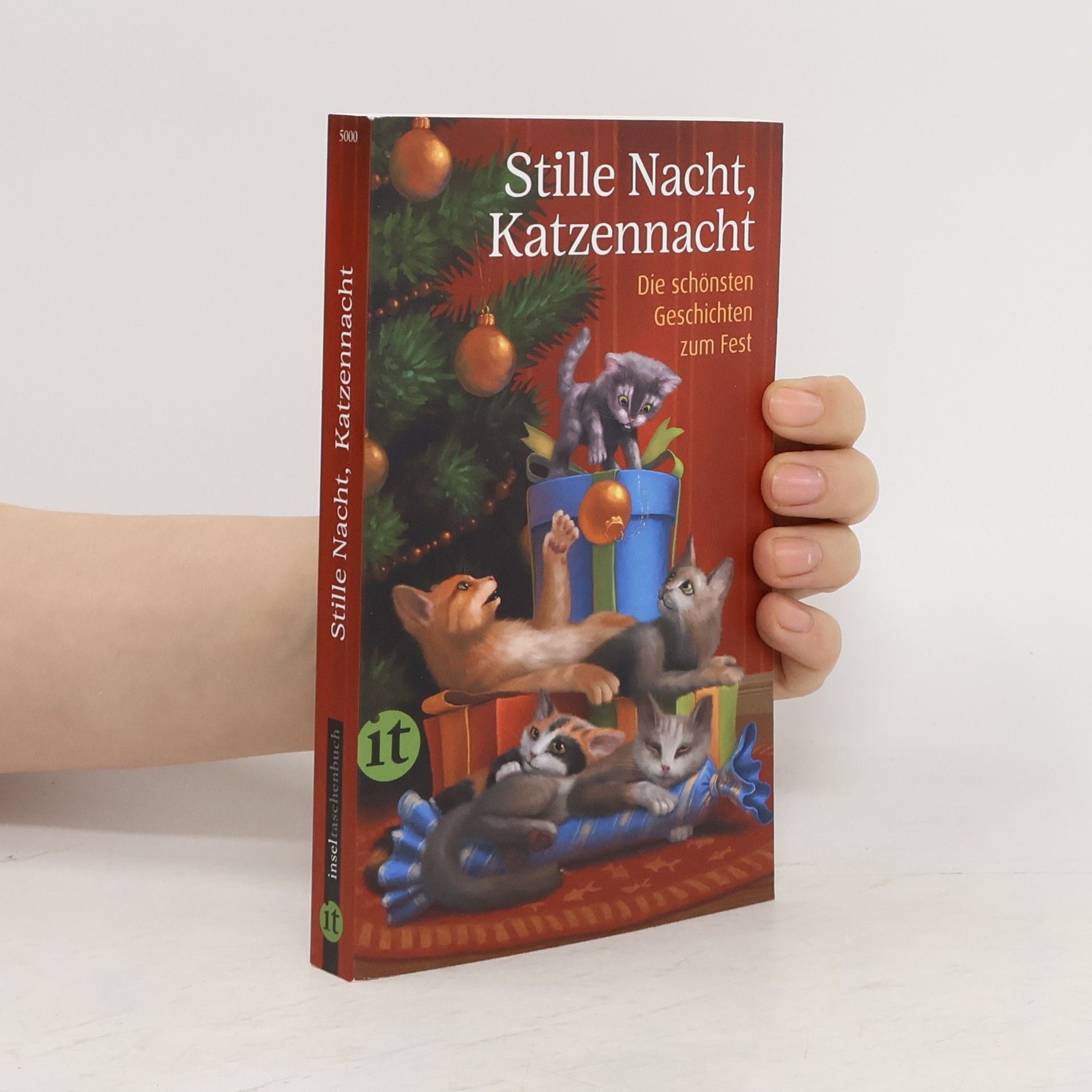 Gesine Dammel Stille Nacht, Katzennacht