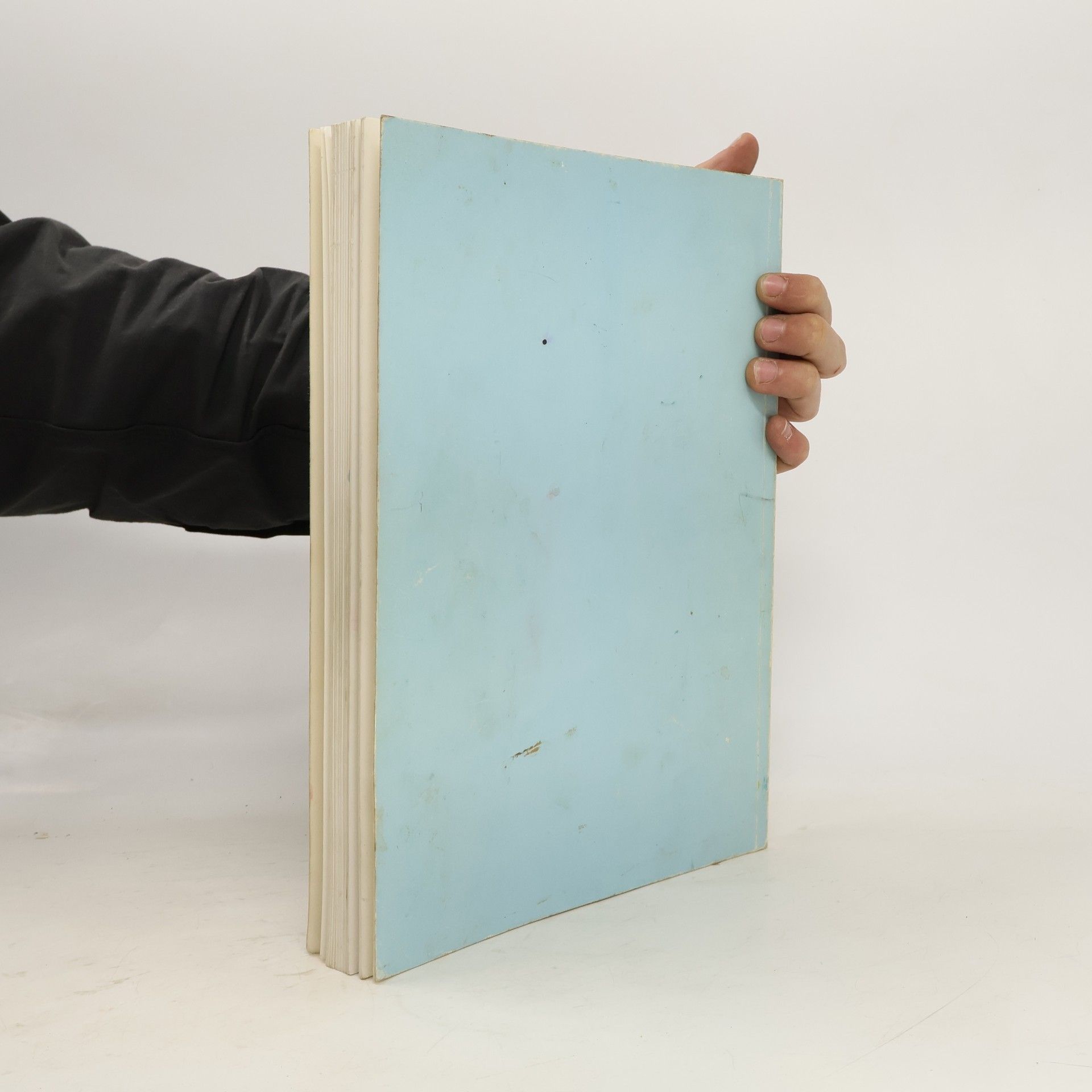Autorenkollektiv Französische Kunst des 19. Jahrhunderts aus dem Museum der Bildenden Künste Budapest : Gemälde, Aquarelle, Zeichnungen