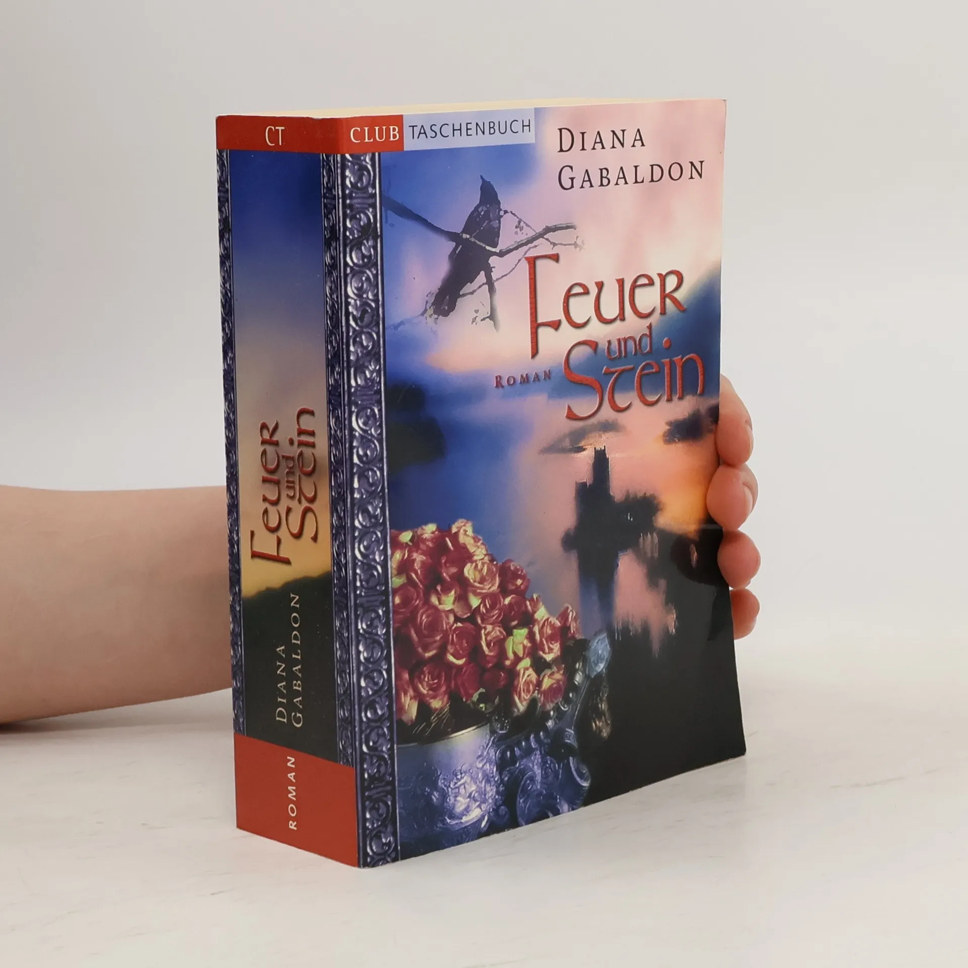 Feuer und Stein | Buch | Paperback | Diana Gabaldon