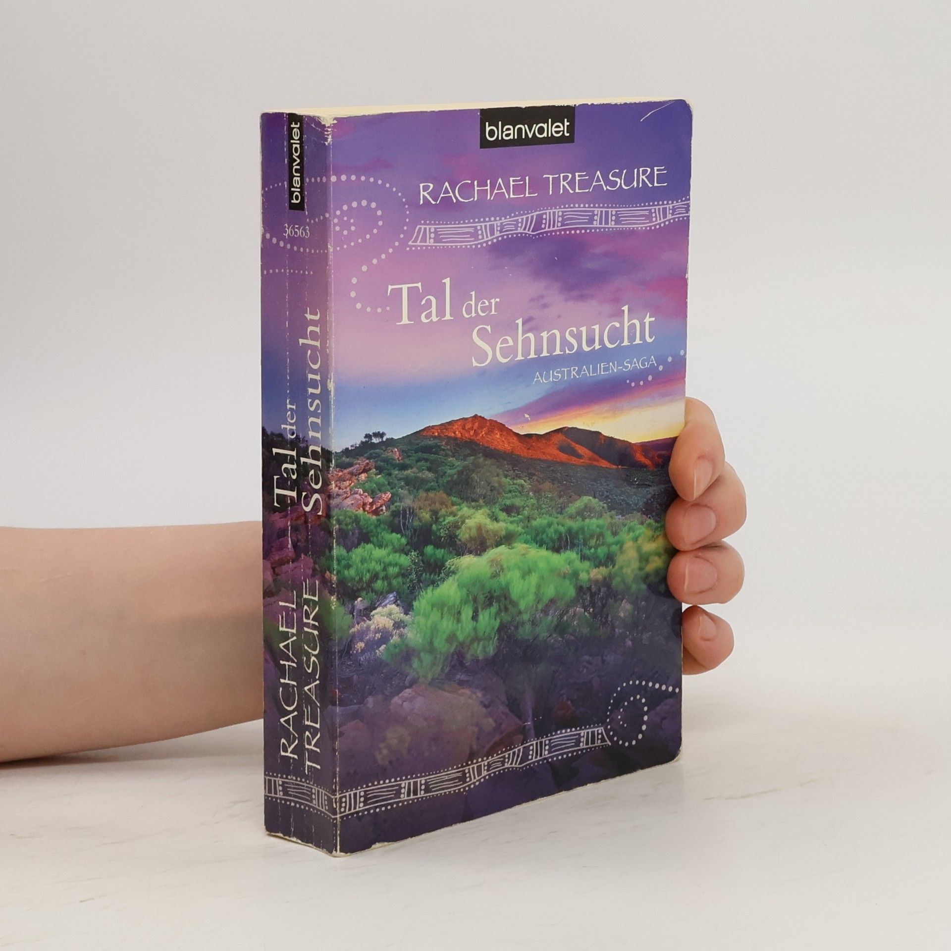 Rachael Treasure Tal der Sehnsucht