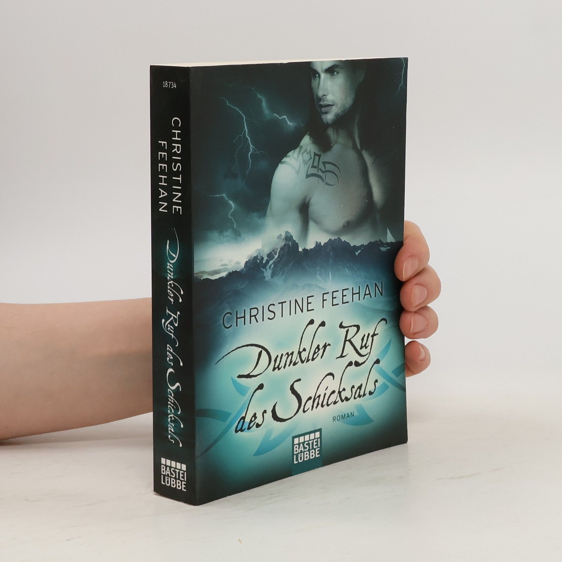 Christine Feehan Dunkler Ruf des Schicksals