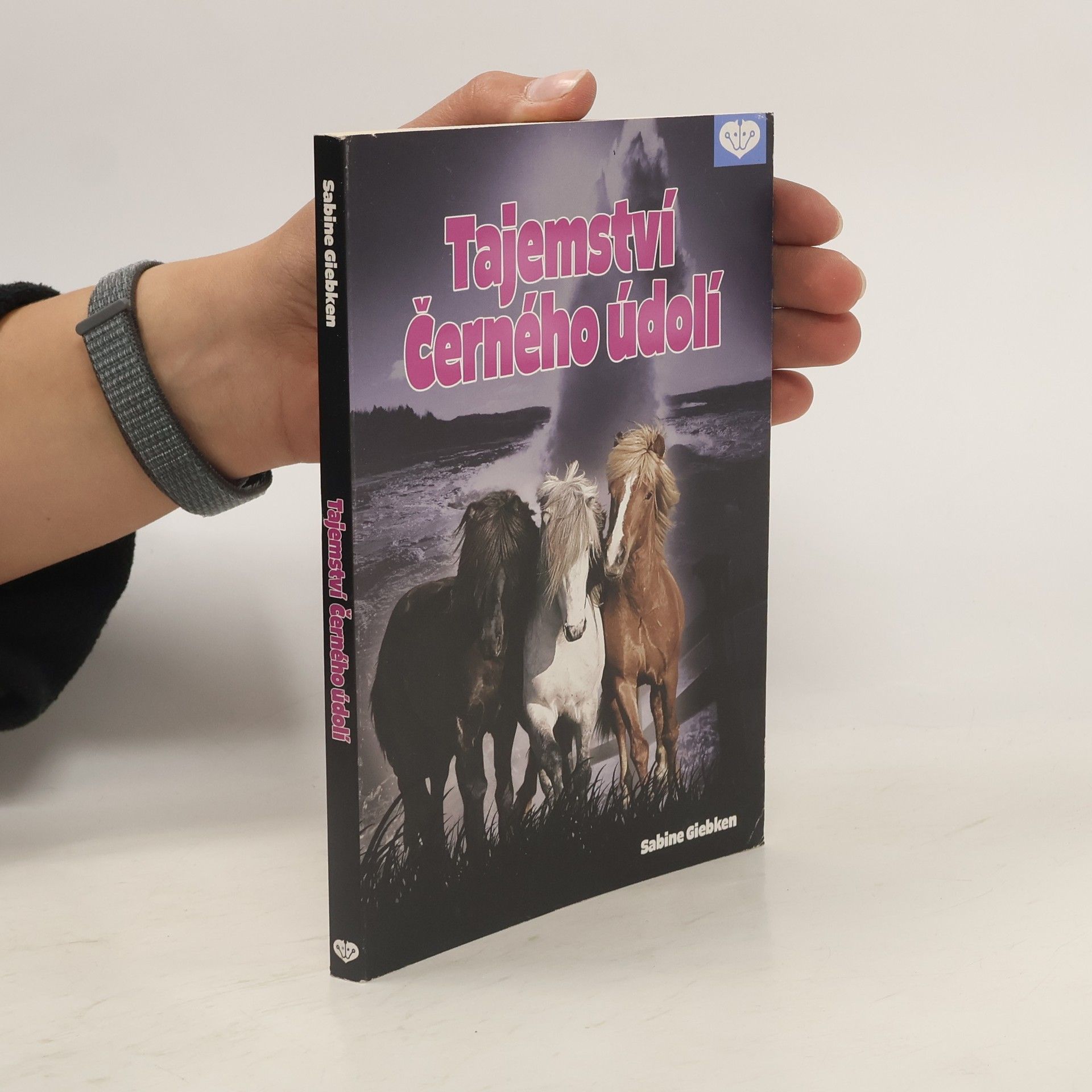 Sabine Giebken Tajemství Černého údolí