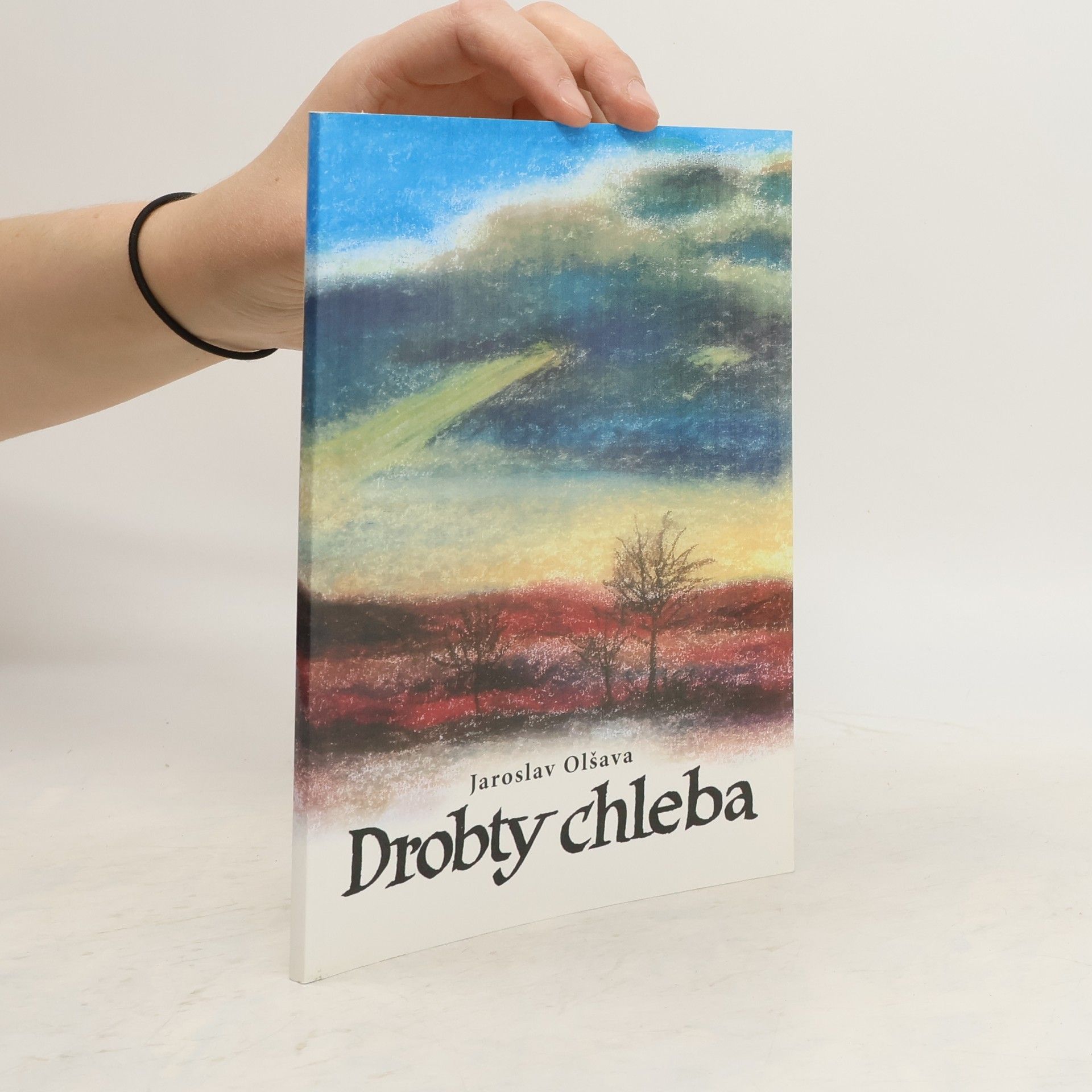 Jaroslav Olšava Drobty chleba
