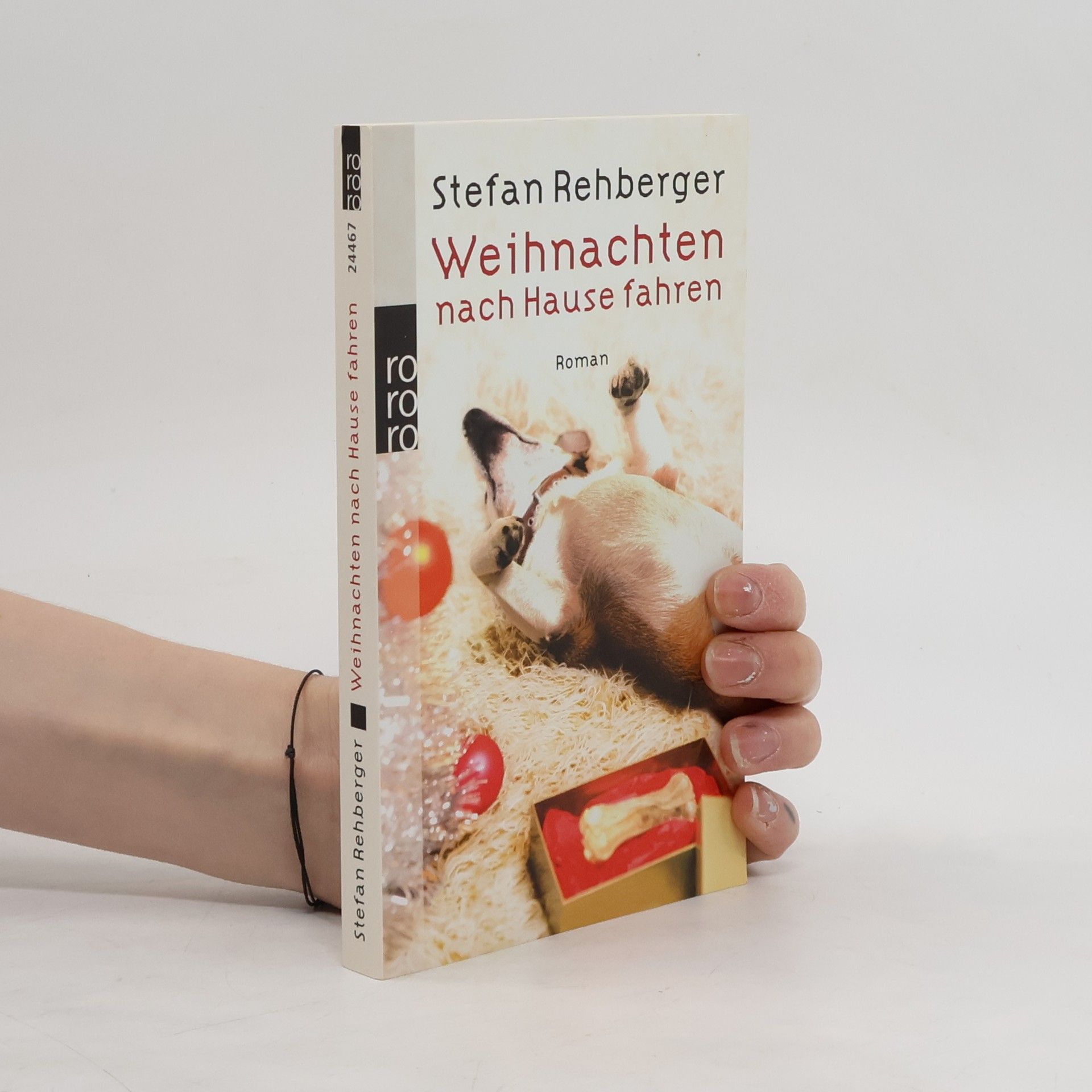 Stefan Rehberger Weihnachten nach Hause fahren