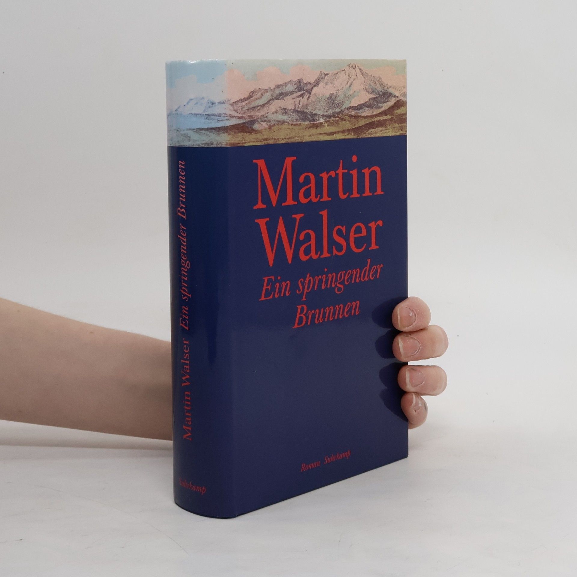 Martin Walser Ein springender Brunnen