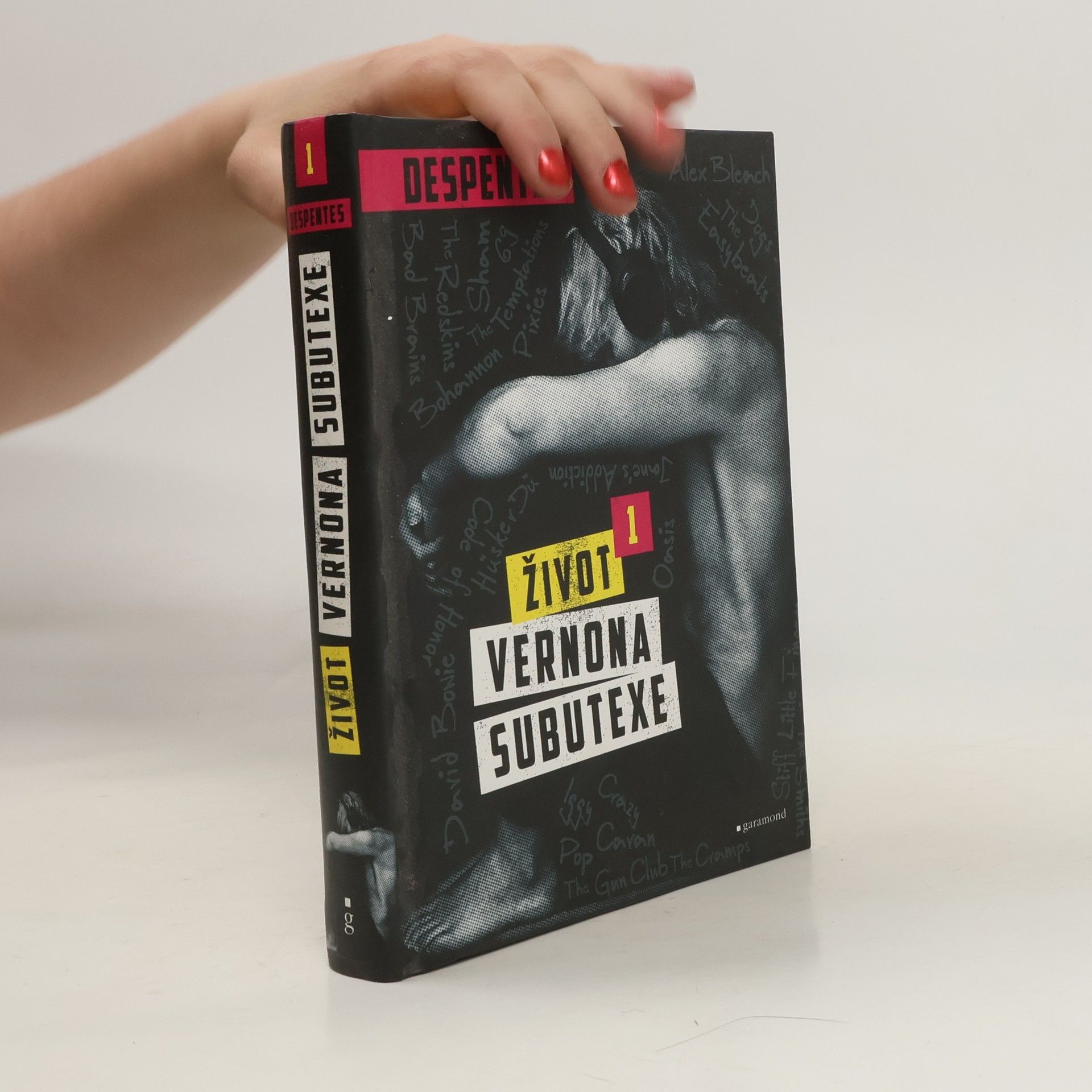 Virginie Despentes Život Vernona Subutexe. Díl 1.