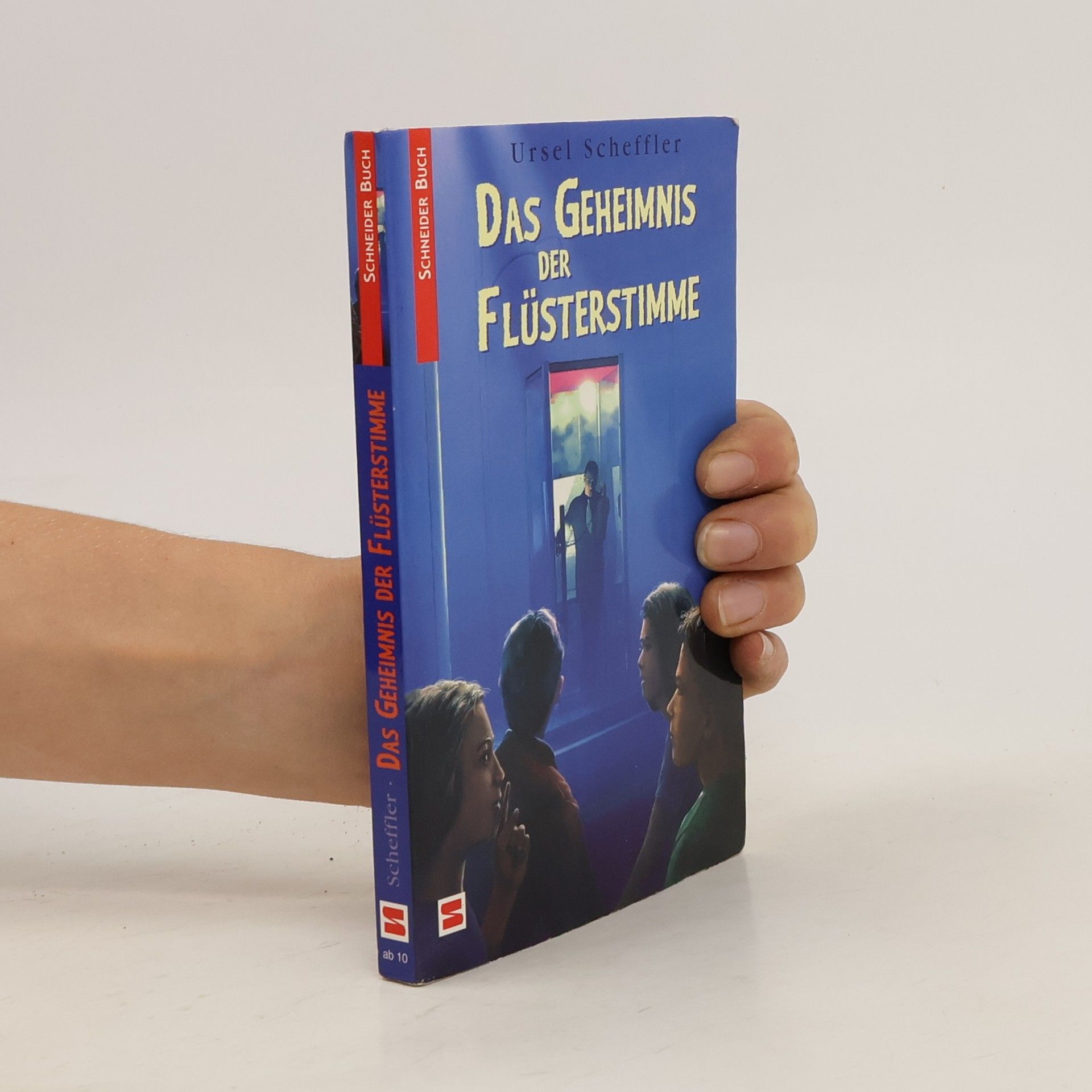 Ursel Scheffler Das Geheimnis der Flüsterstimme