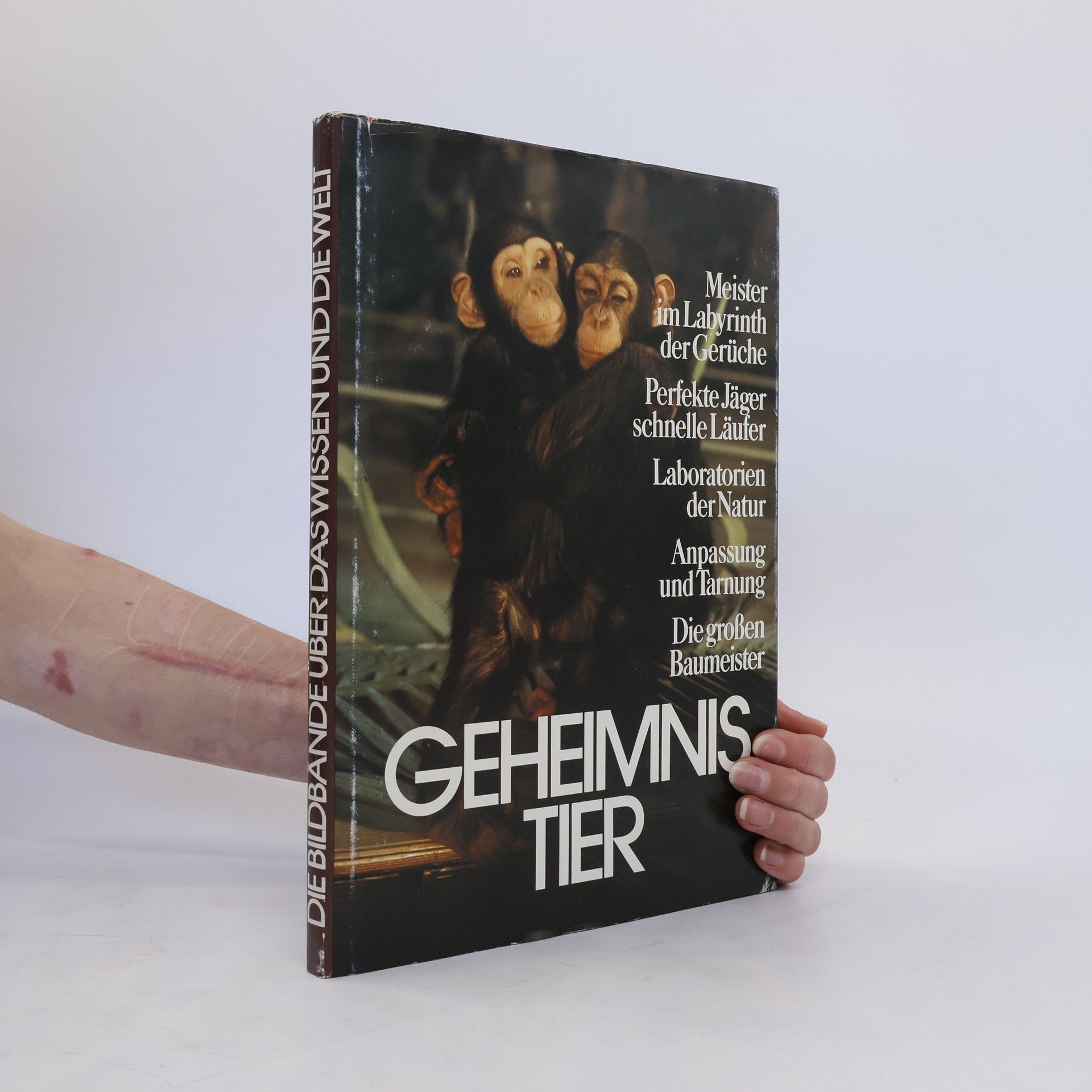 Collective Geheimnis Tier
