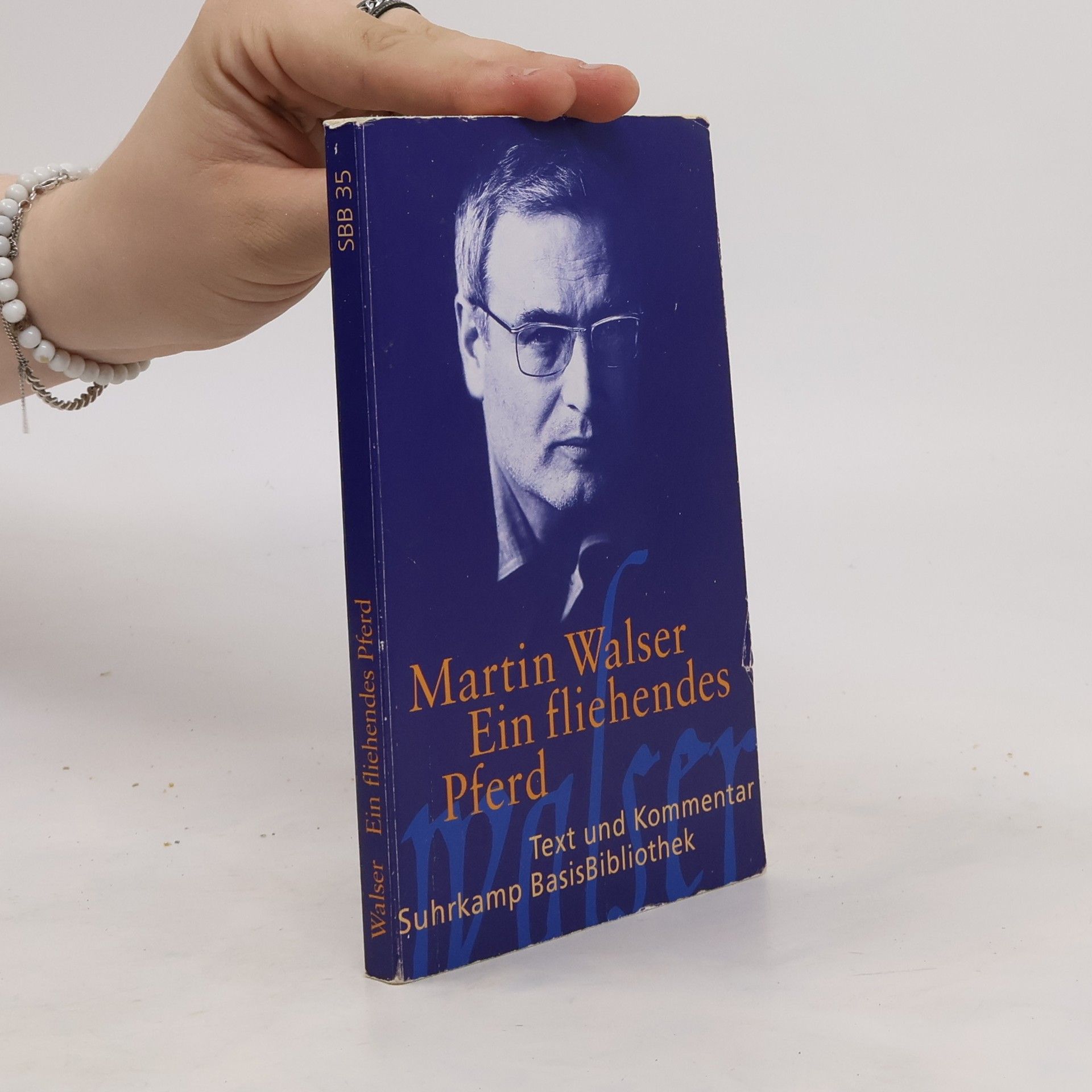 Martin Walser Ein fliehendes Pferd