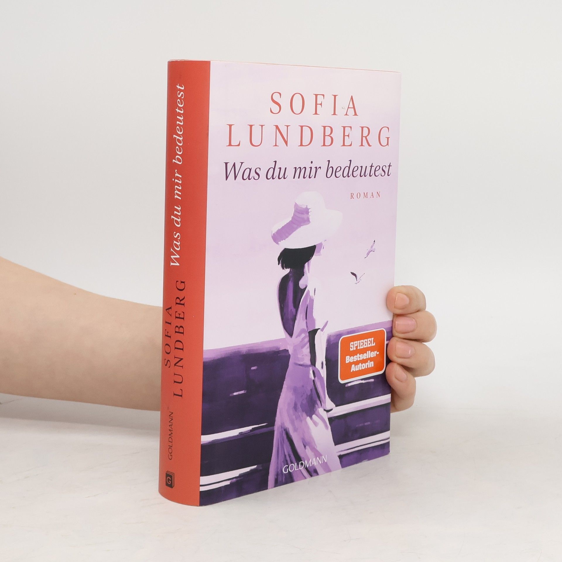 Sofia Lundberg Was du mir bedeutest. Roman