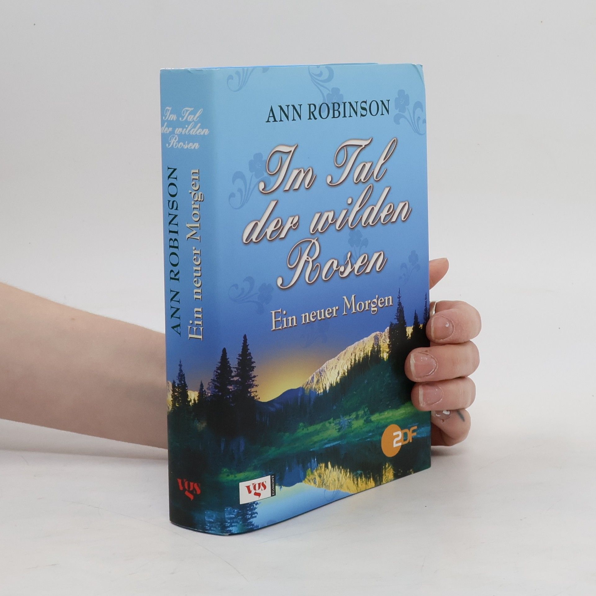 Ann Robinson Im Tal der wilden Rosen. Ein neuer Morgen