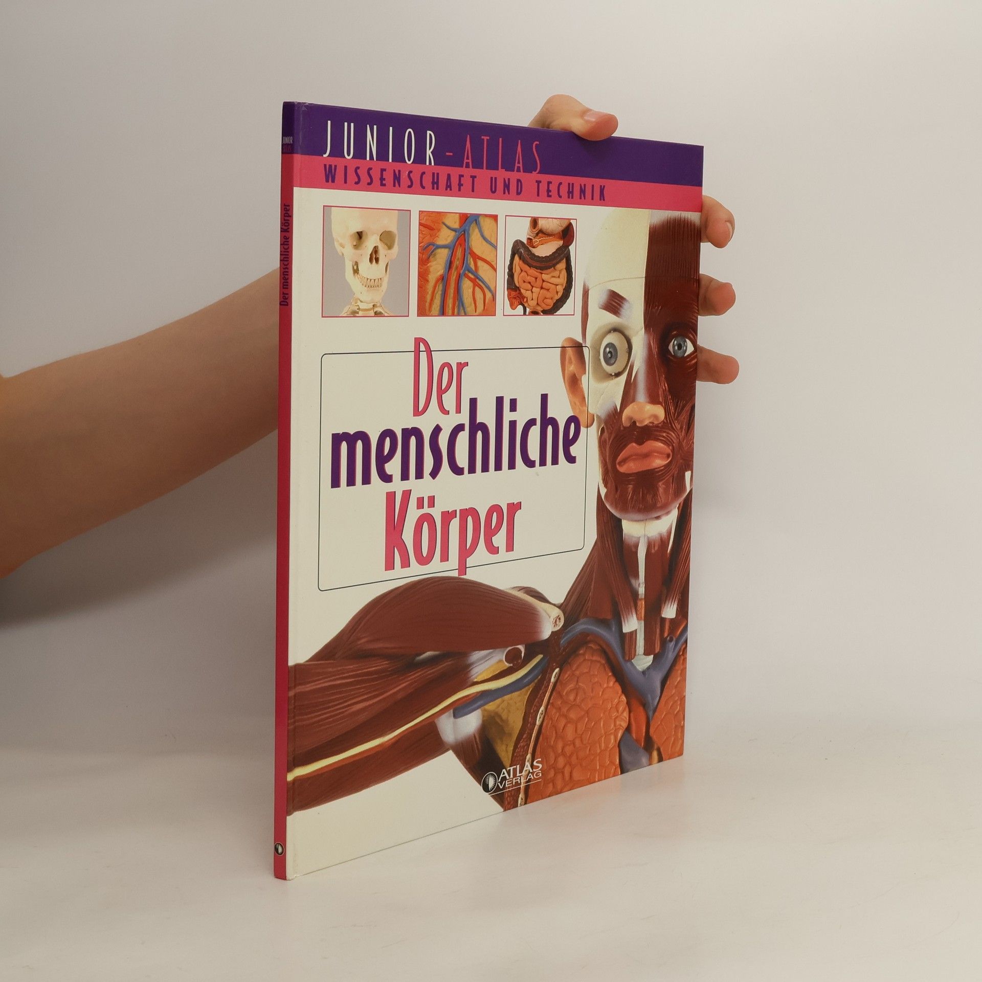 Autorenkollektiv Der menschliche Körper