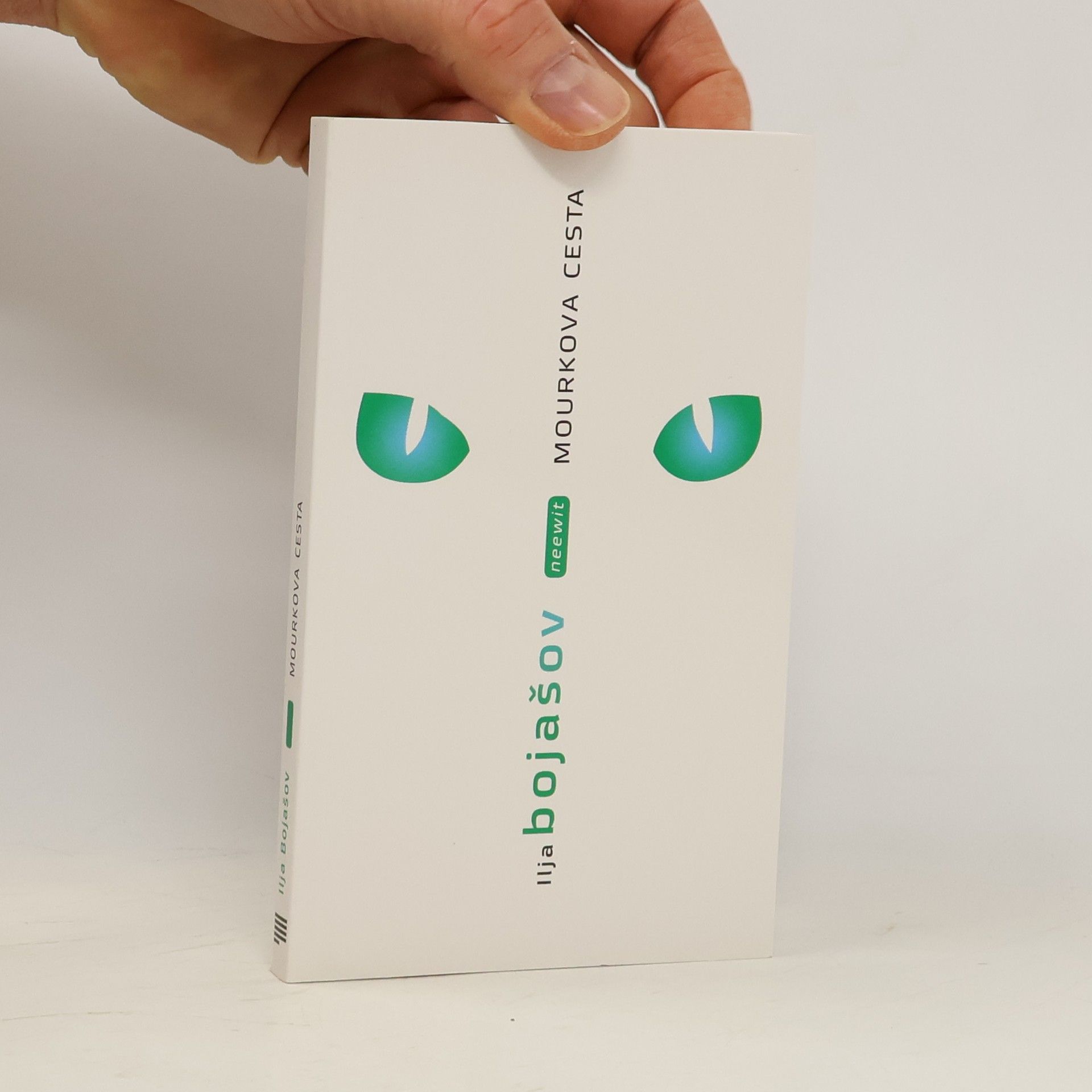 Ilja Bojašov Mourkova cesta