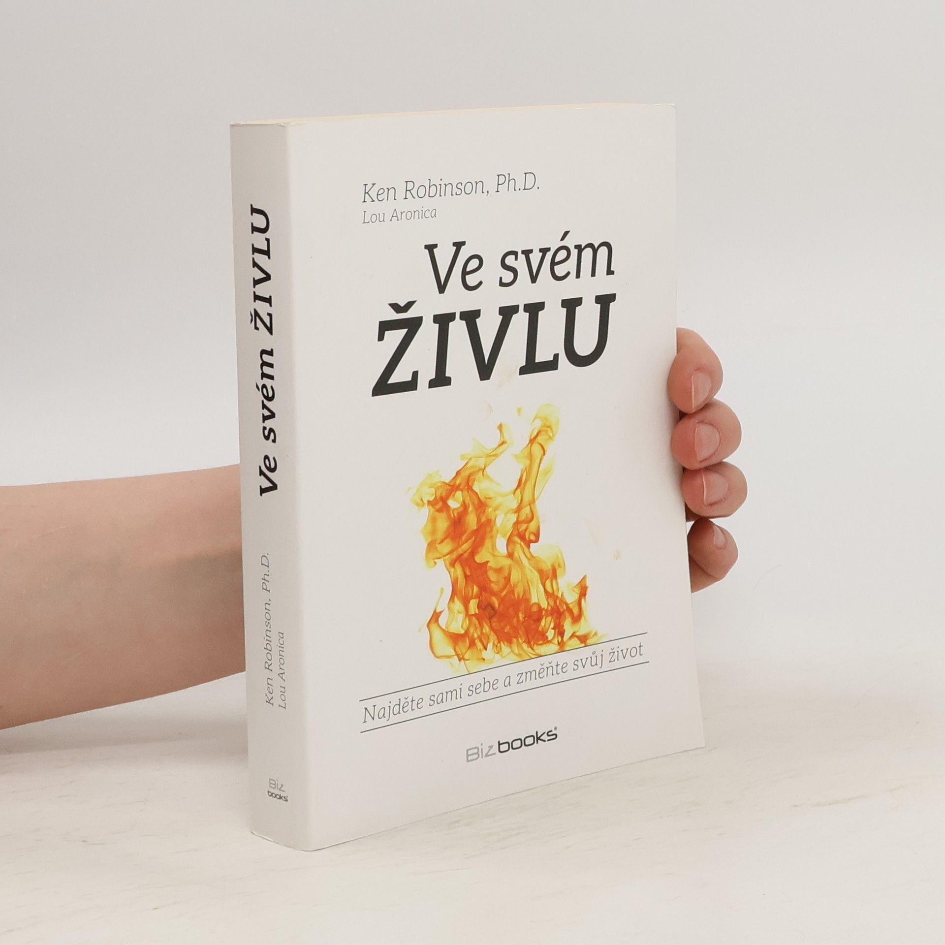 Ken Robinson Ve svém živlu. Najděte sami sebe a změňte svůj život