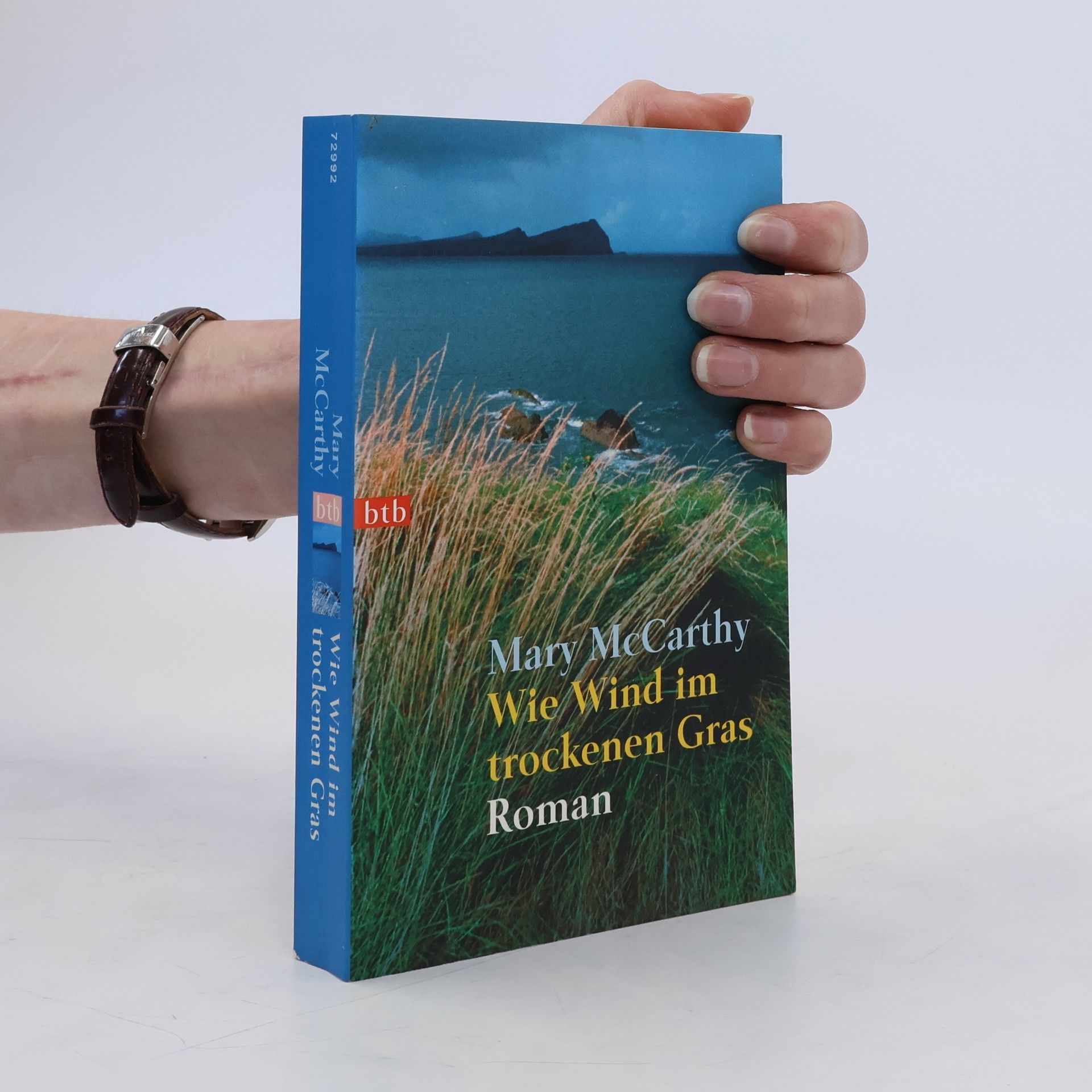 Mary McCarthy Wie Wind im trockenen Gras