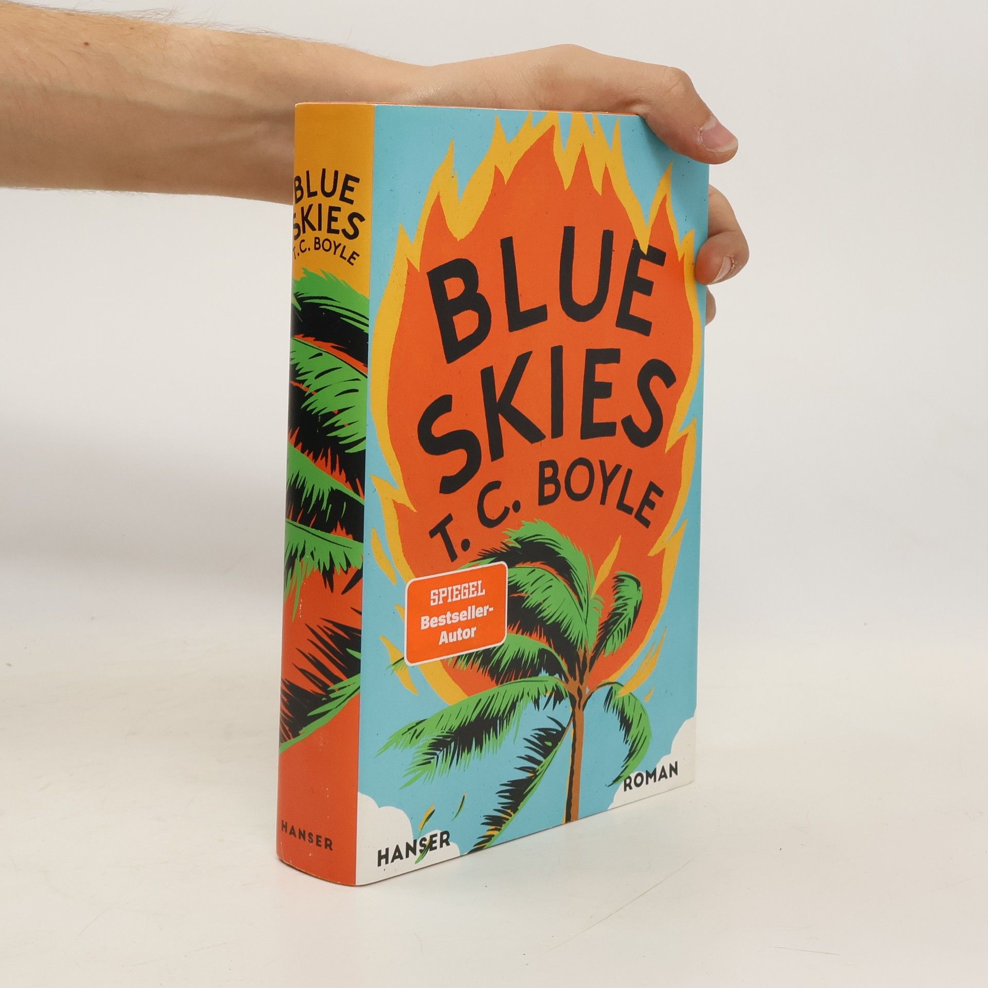Tom Coraghessan Boyle Blue Skies