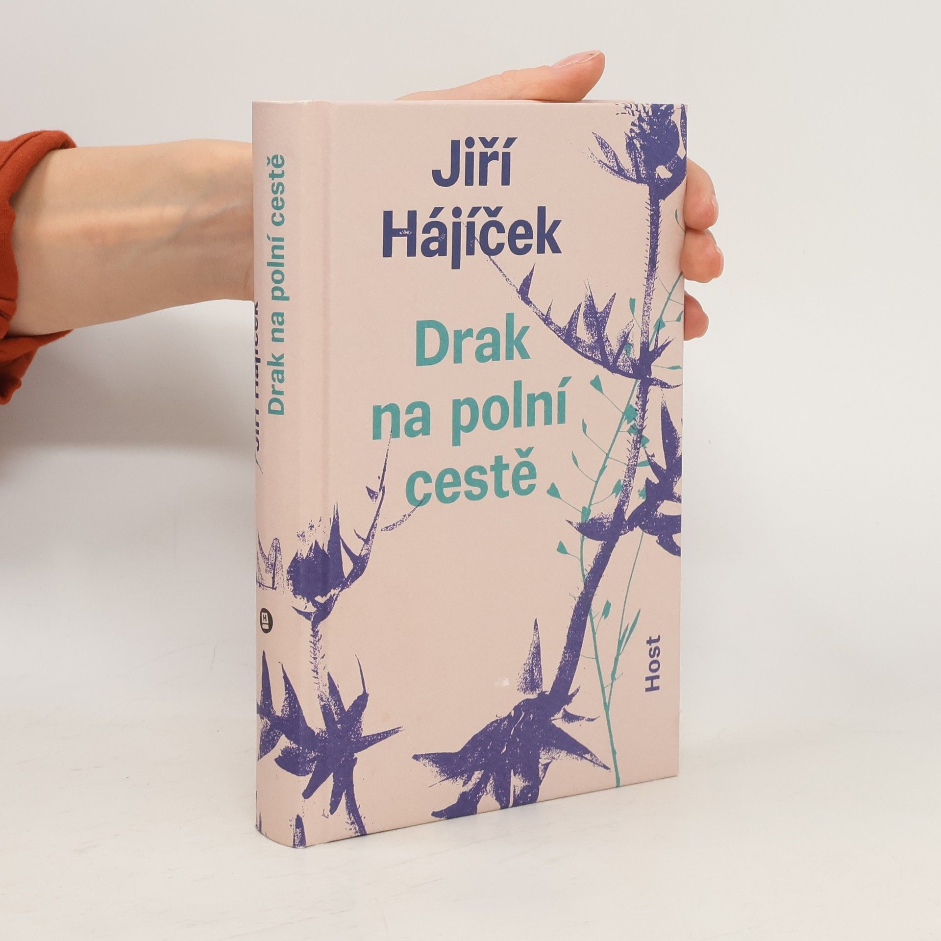 Jiří Hájíček Drak na polní cestě