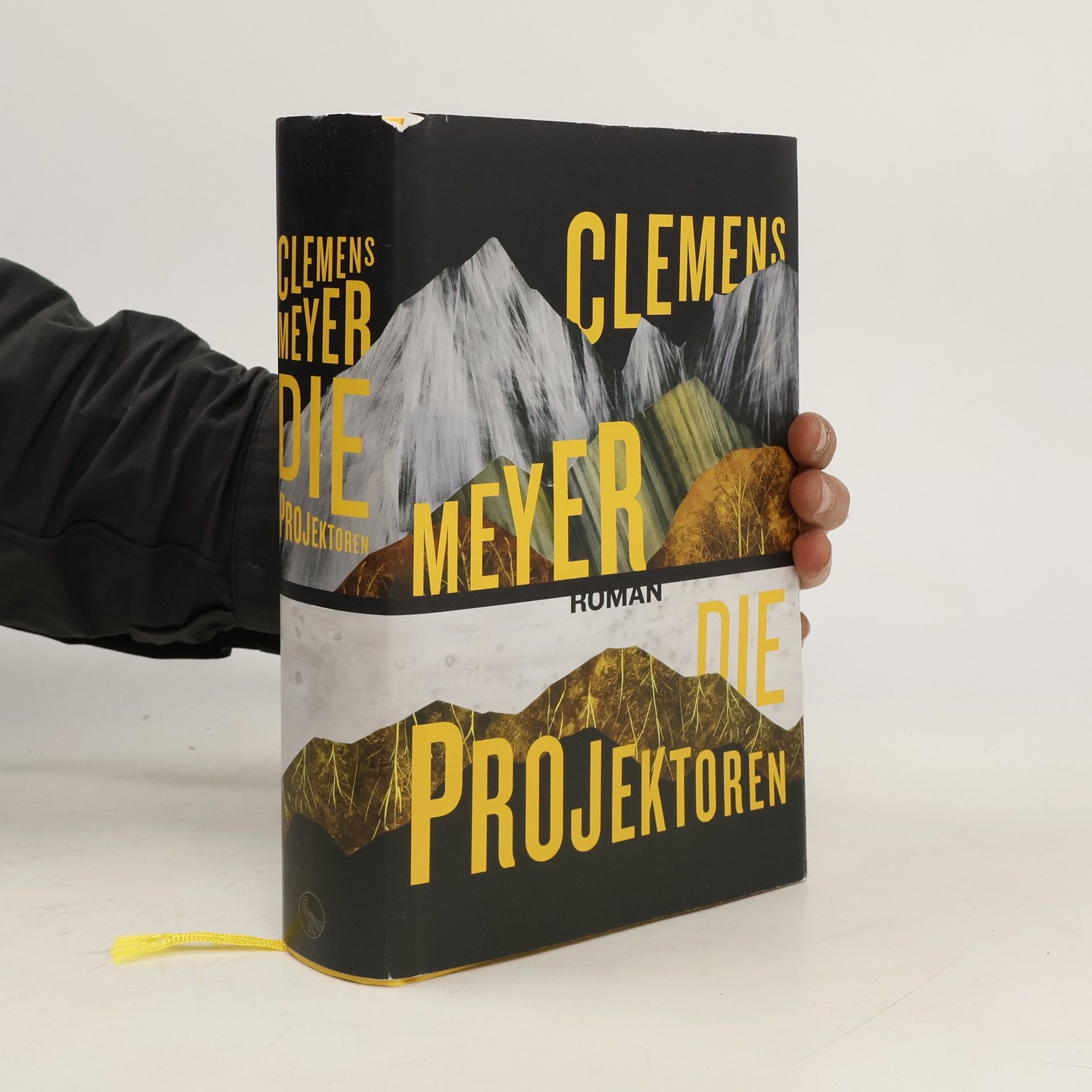 Clemens Meyer Die Projektoren